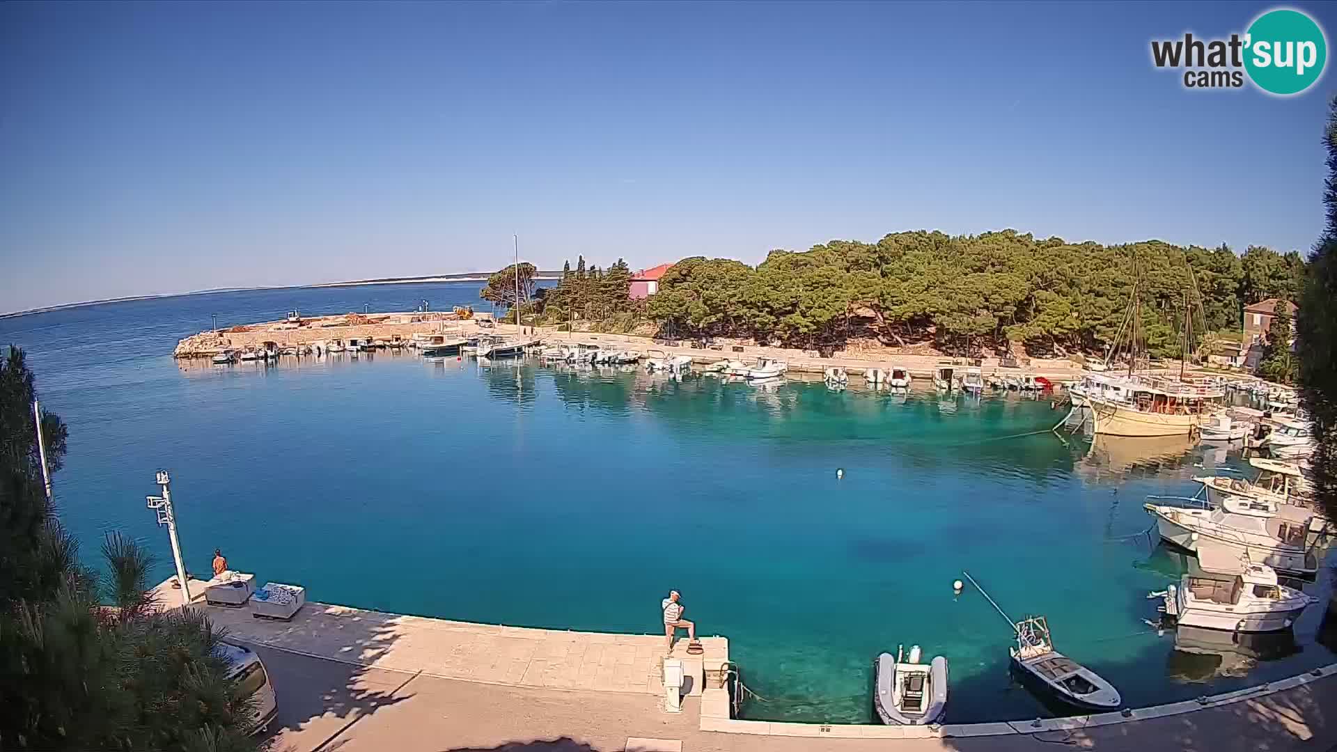Mandre – marina