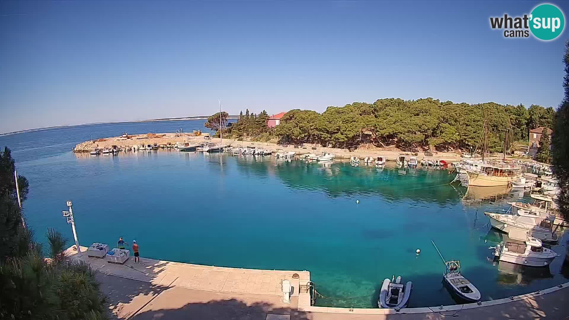 Mandre – marina