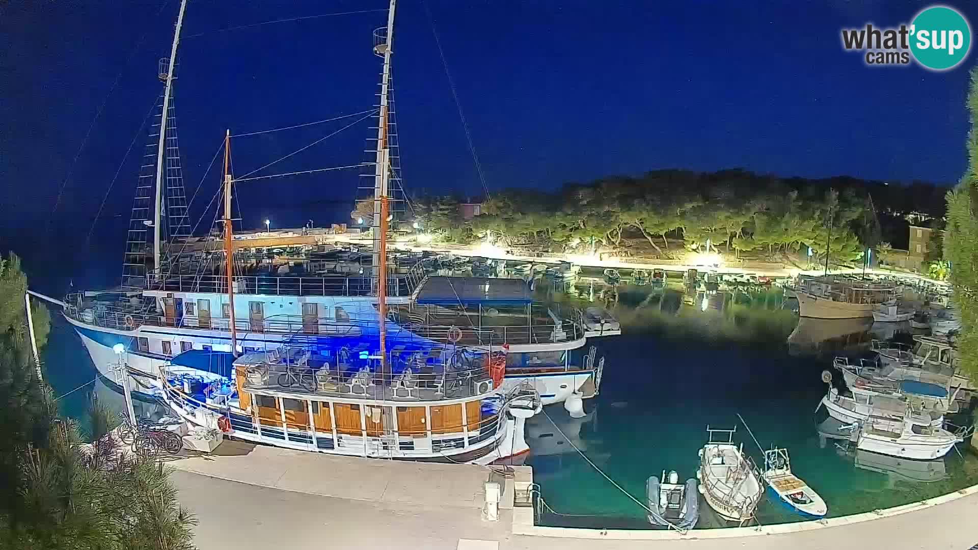 Mandre – marina