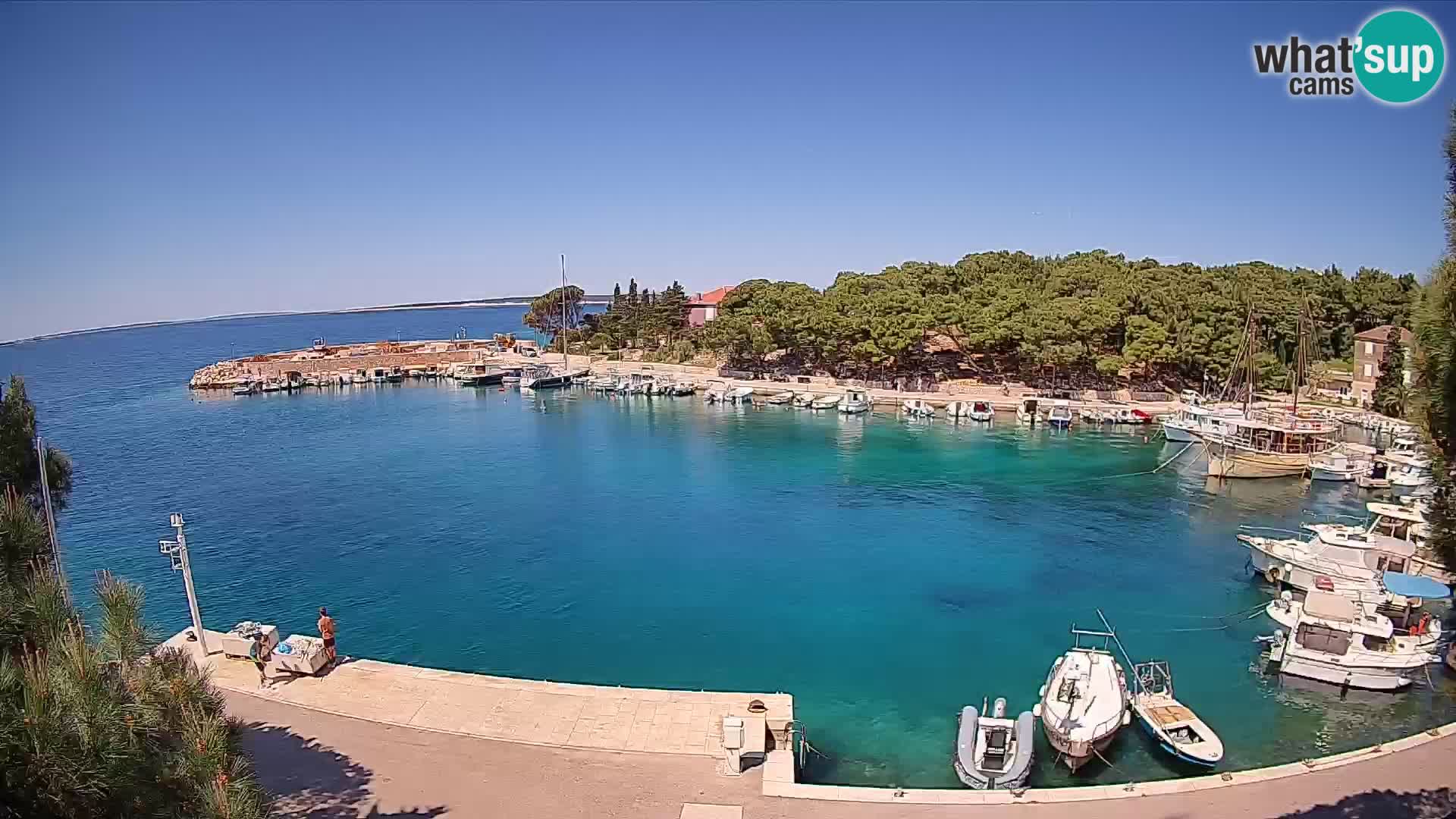 Mandre – marina
