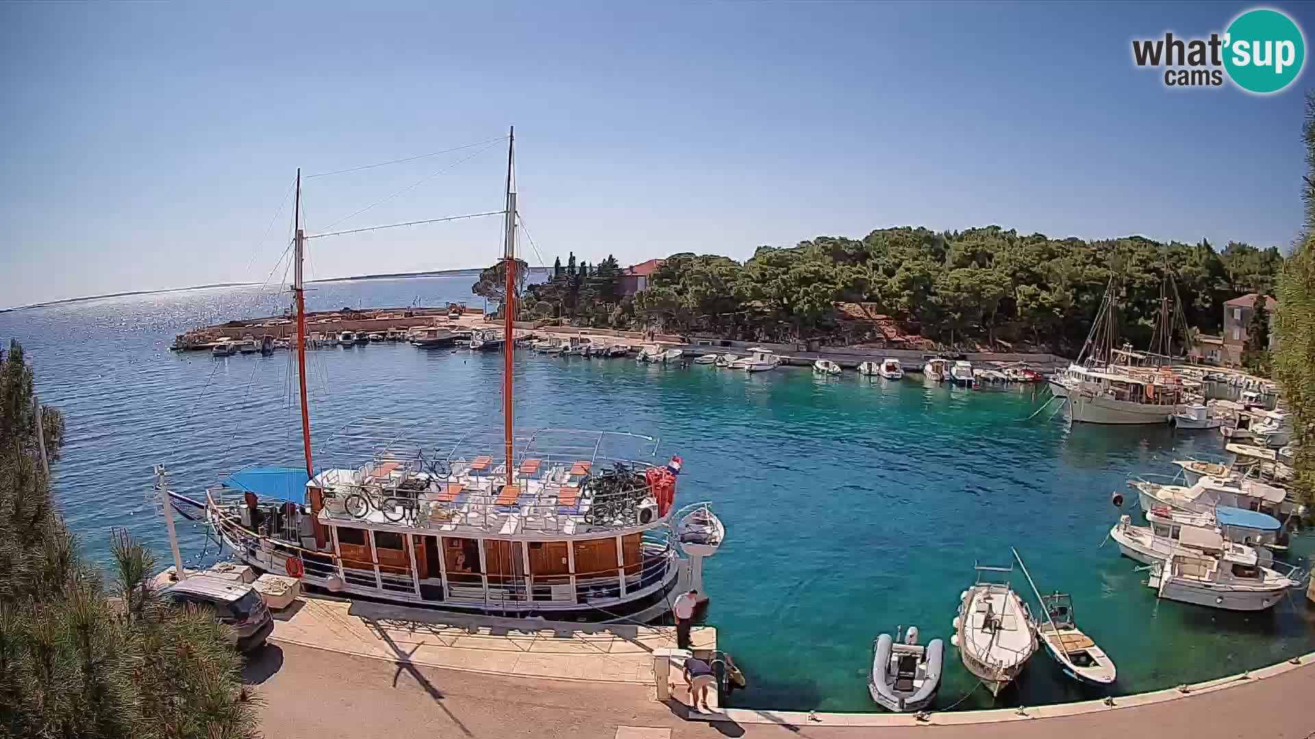 Mandre – marina