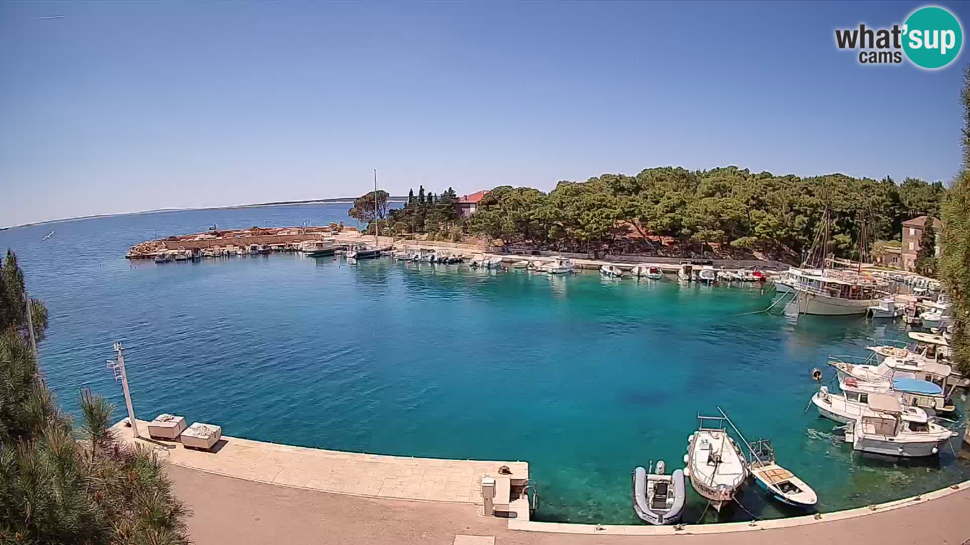 Mandre – marina