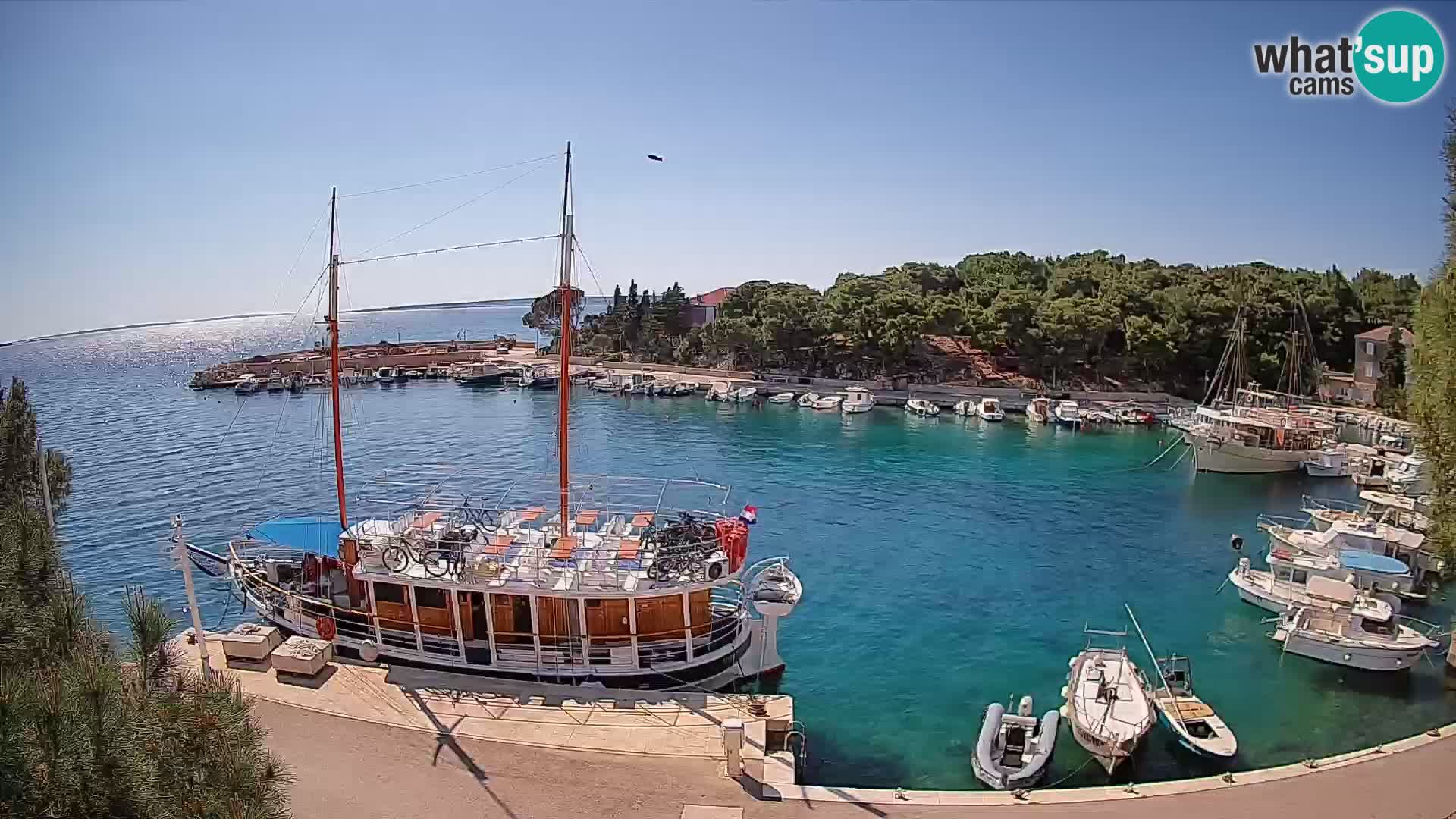 Mandre – marina