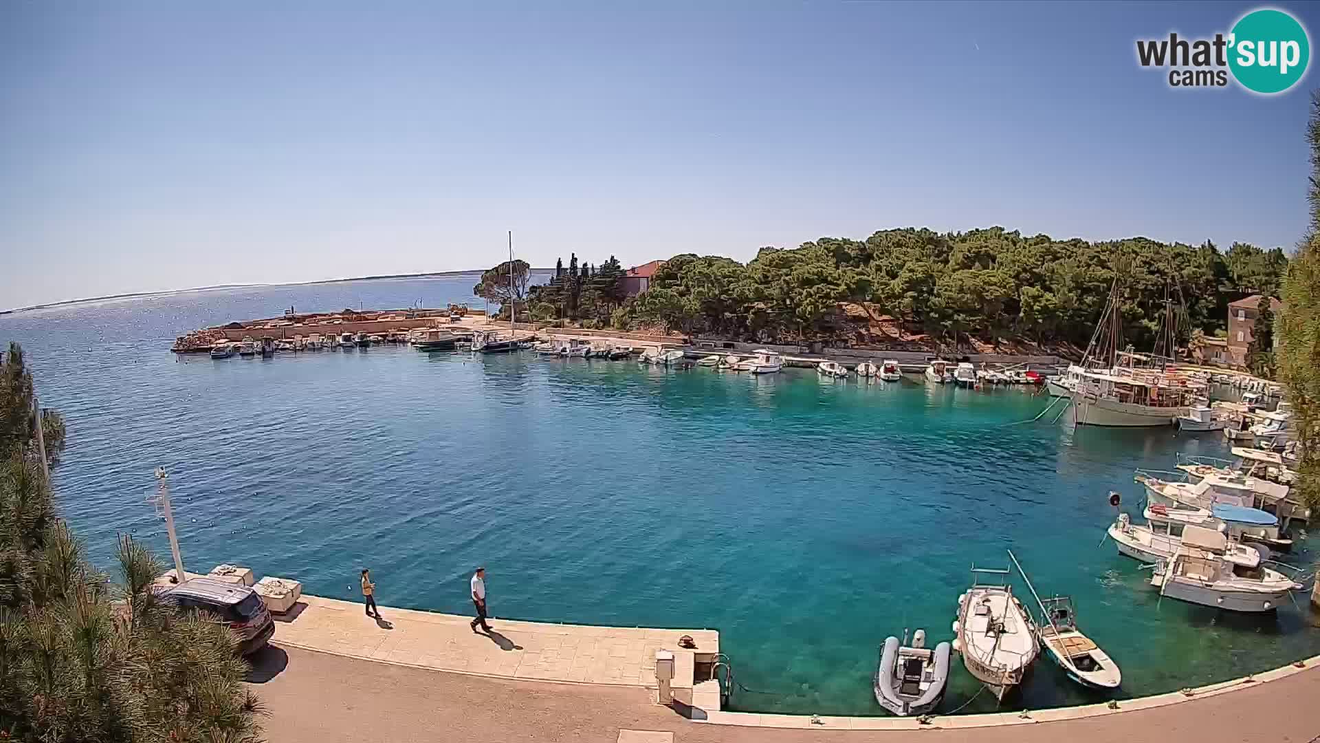 Mandre – marina