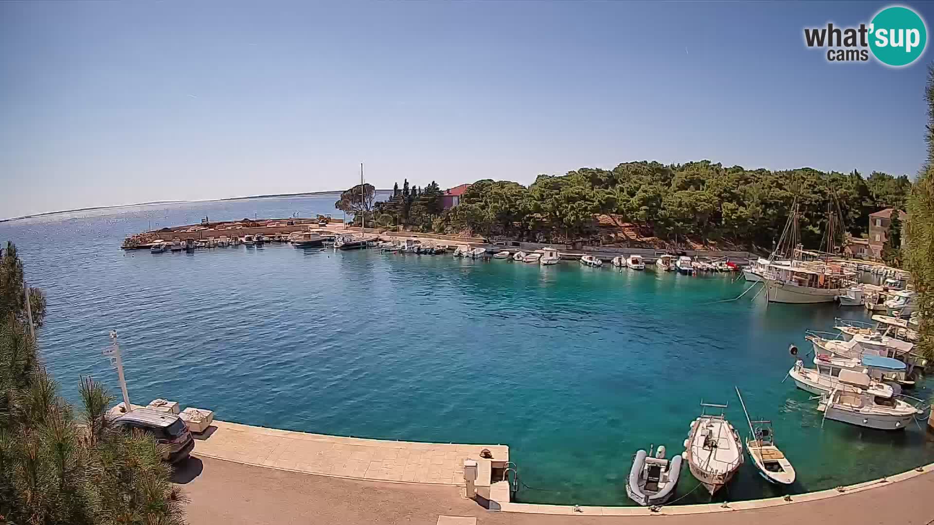 Mandre – marina