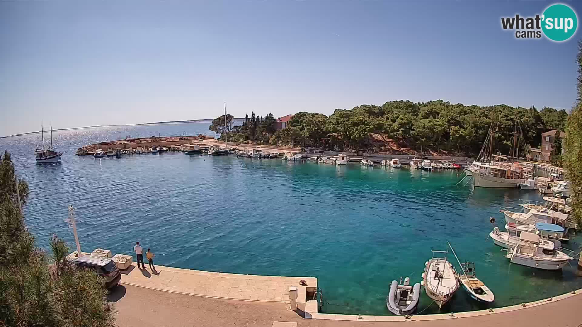 Mandre – marina