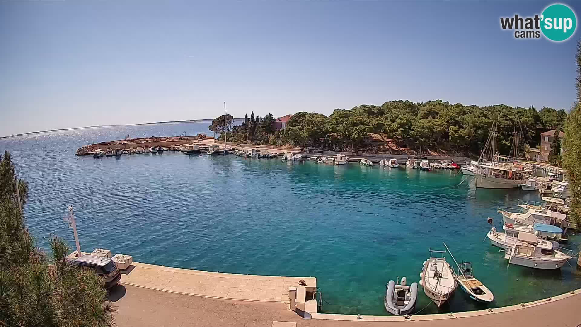 Mandre – marina