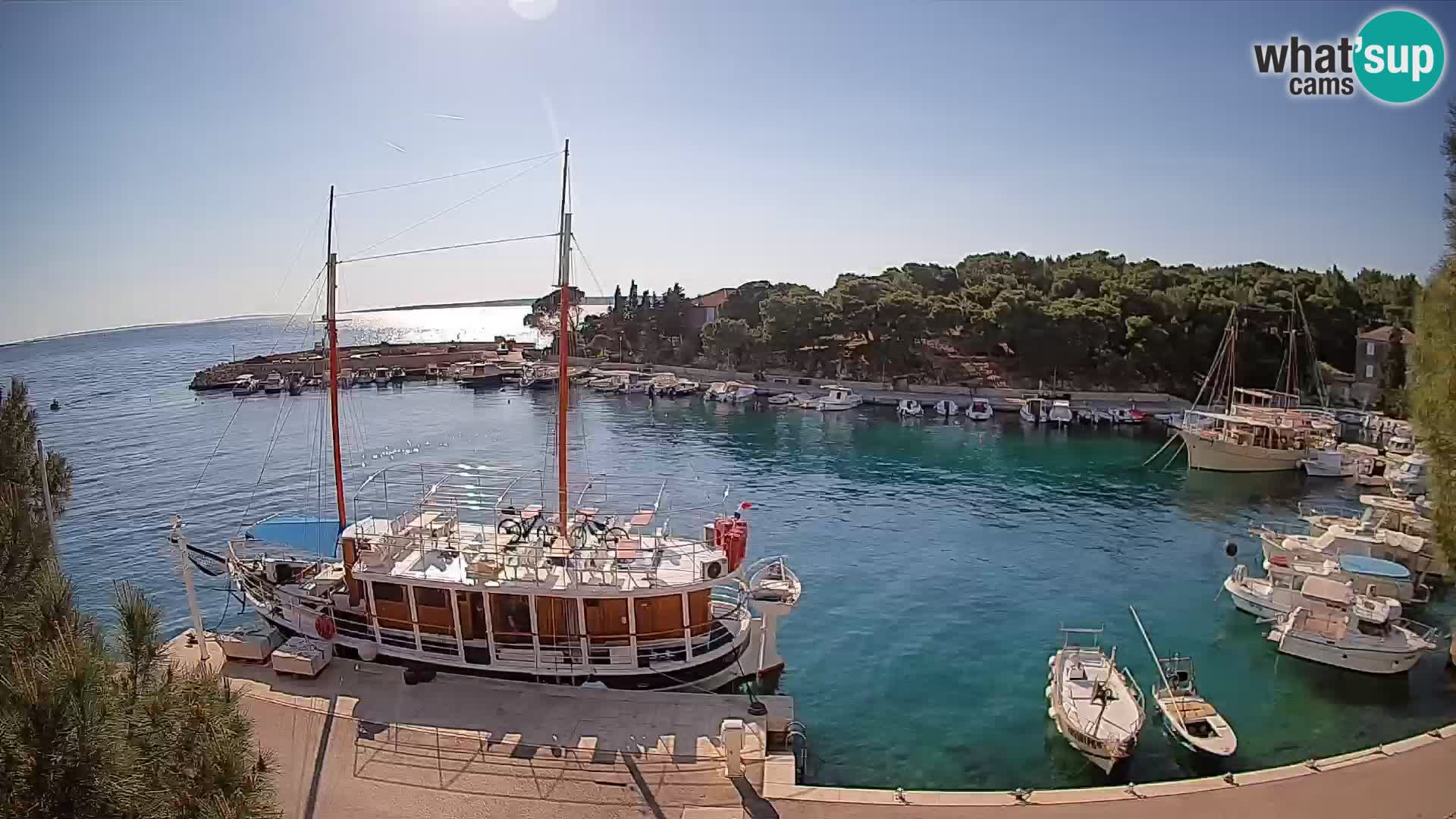 Mandre – marina