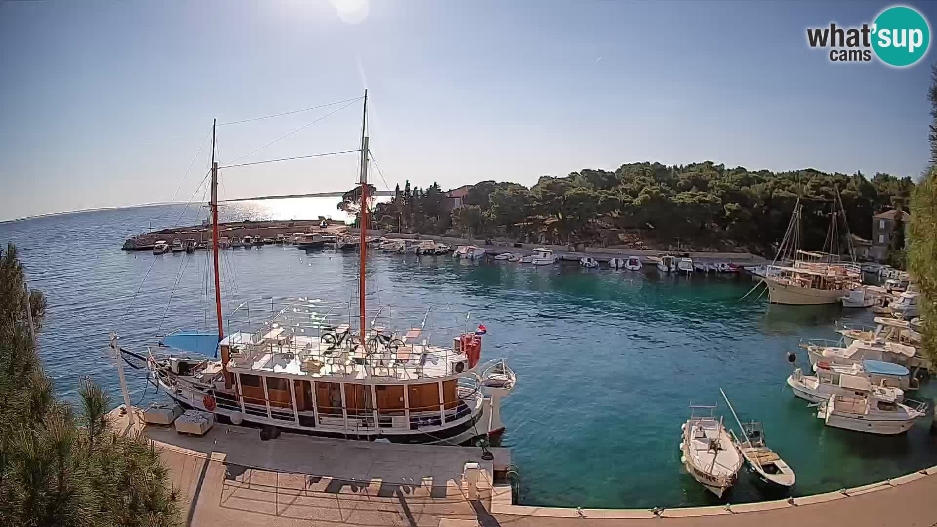 Mandre – marina