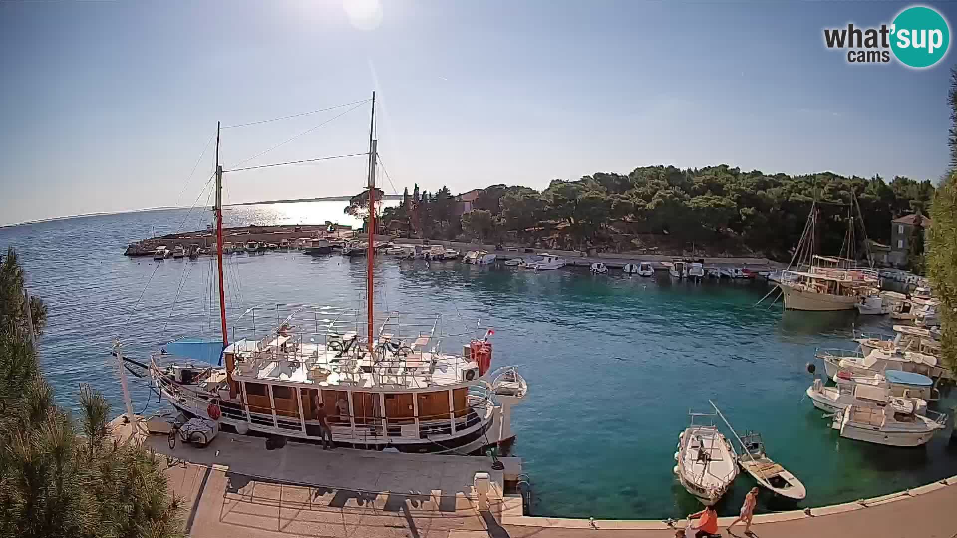 Mandre – marina