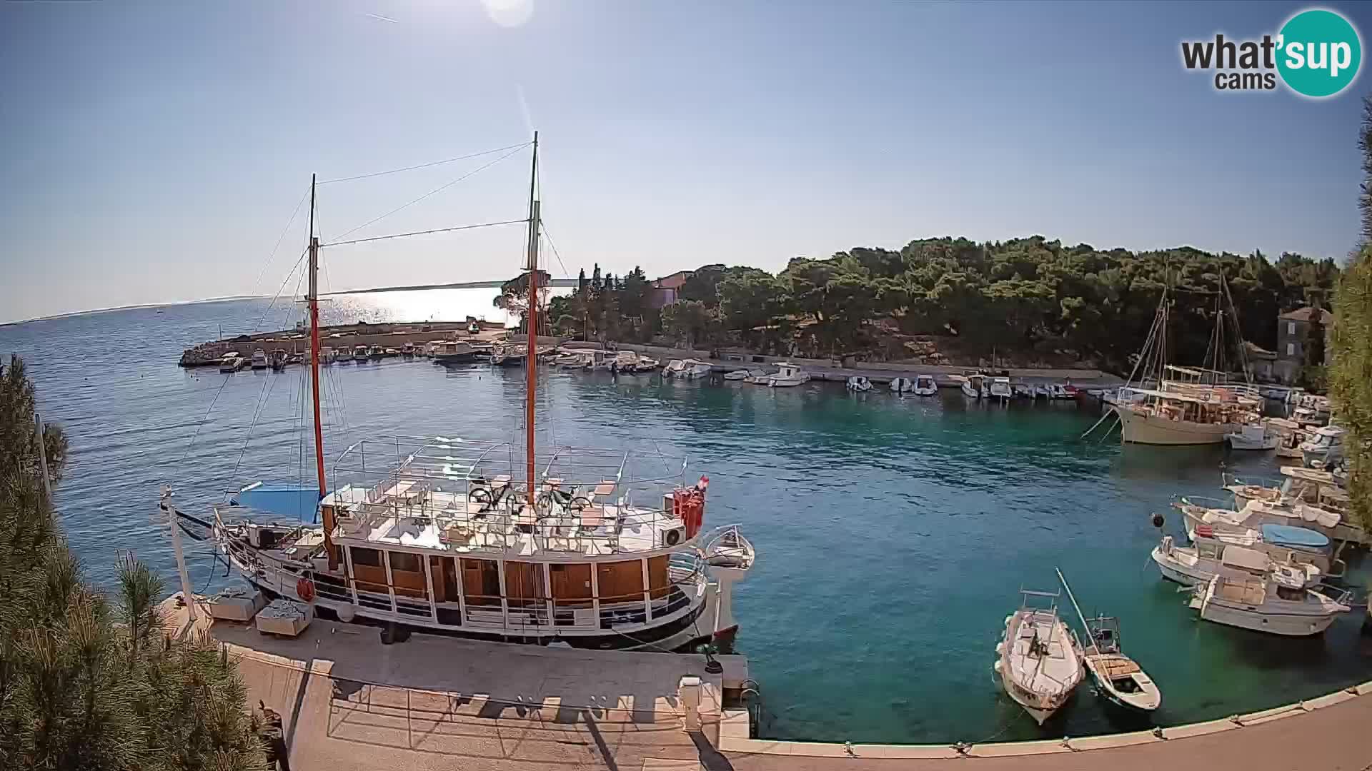 Mandre – marina