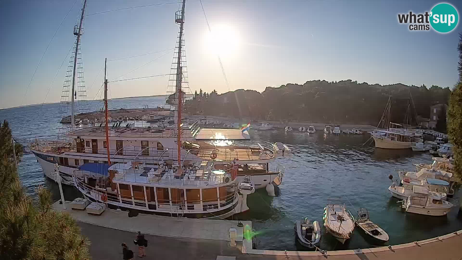 Mandre – marina
