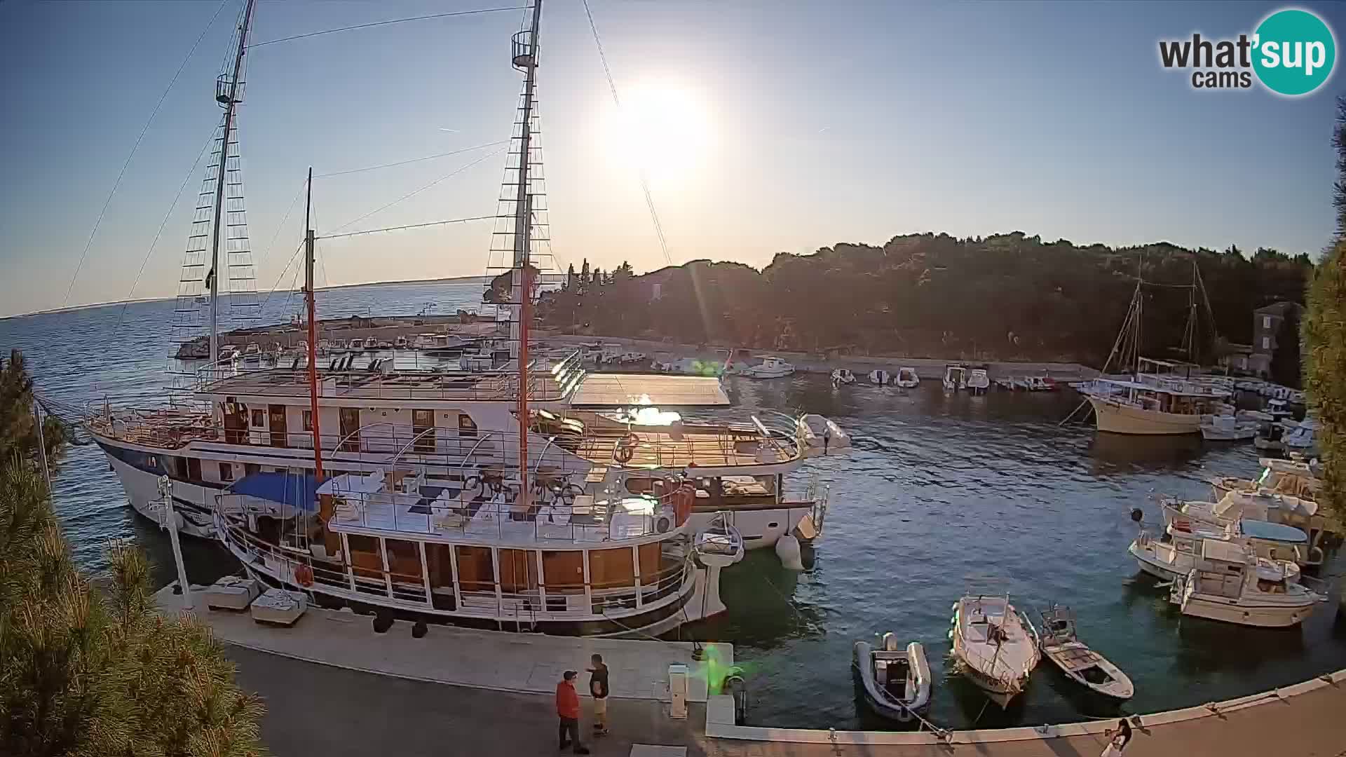 Mandre – marina