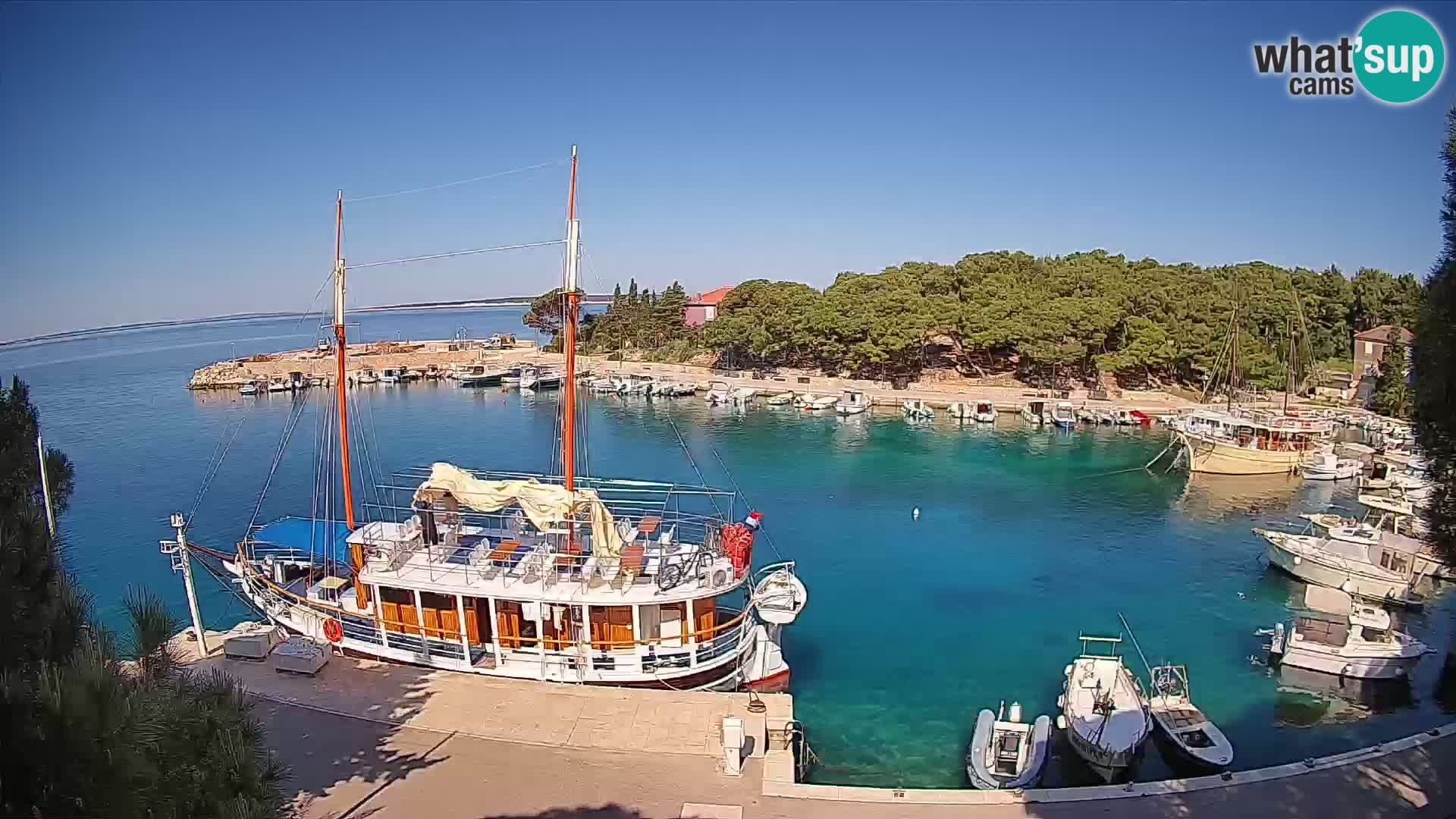 Mandre – marina
