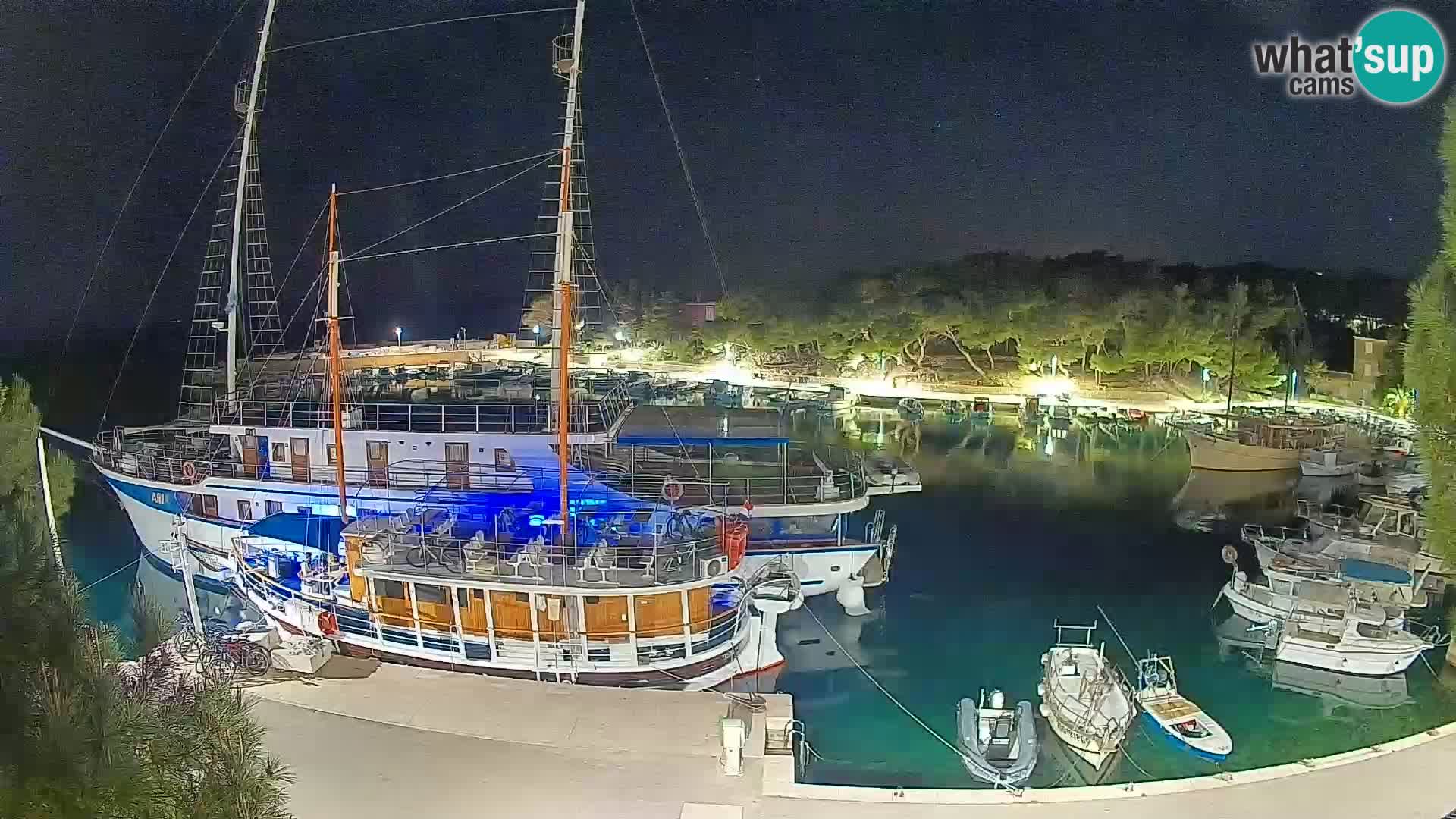 Mandre – marina