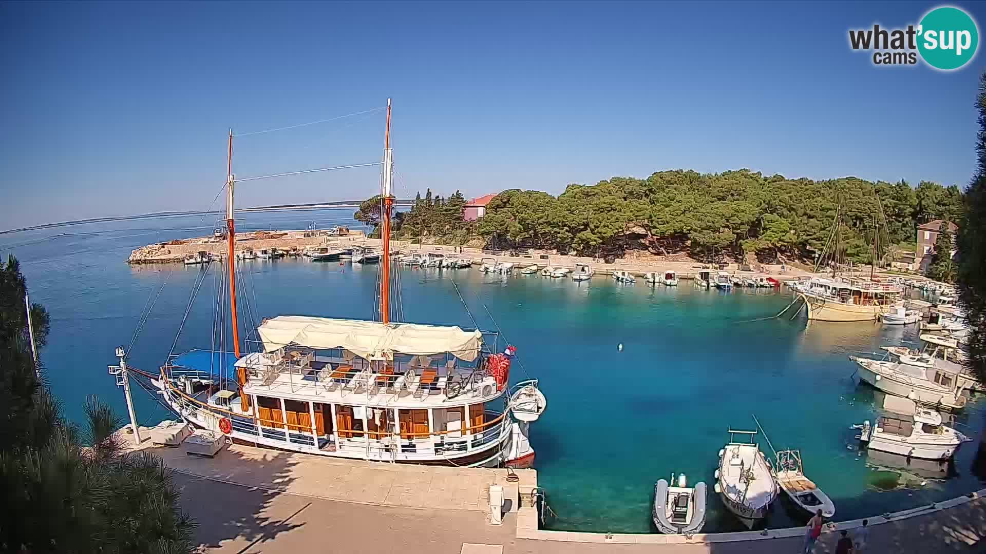 Mandre – marina