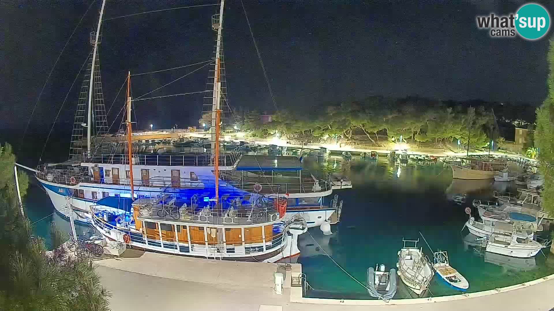 Mandre – marina