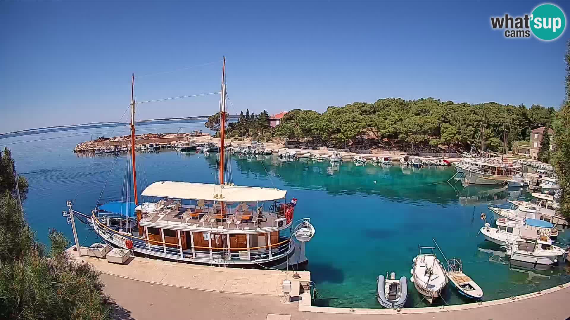 Mandre – marina
