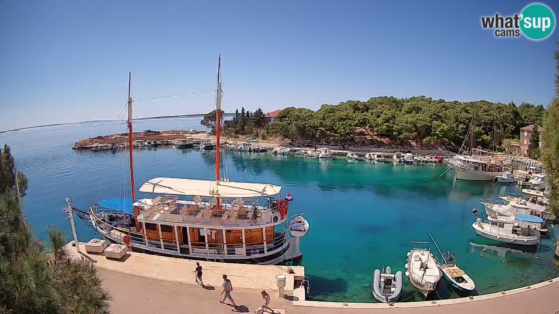 Mandre – marina
