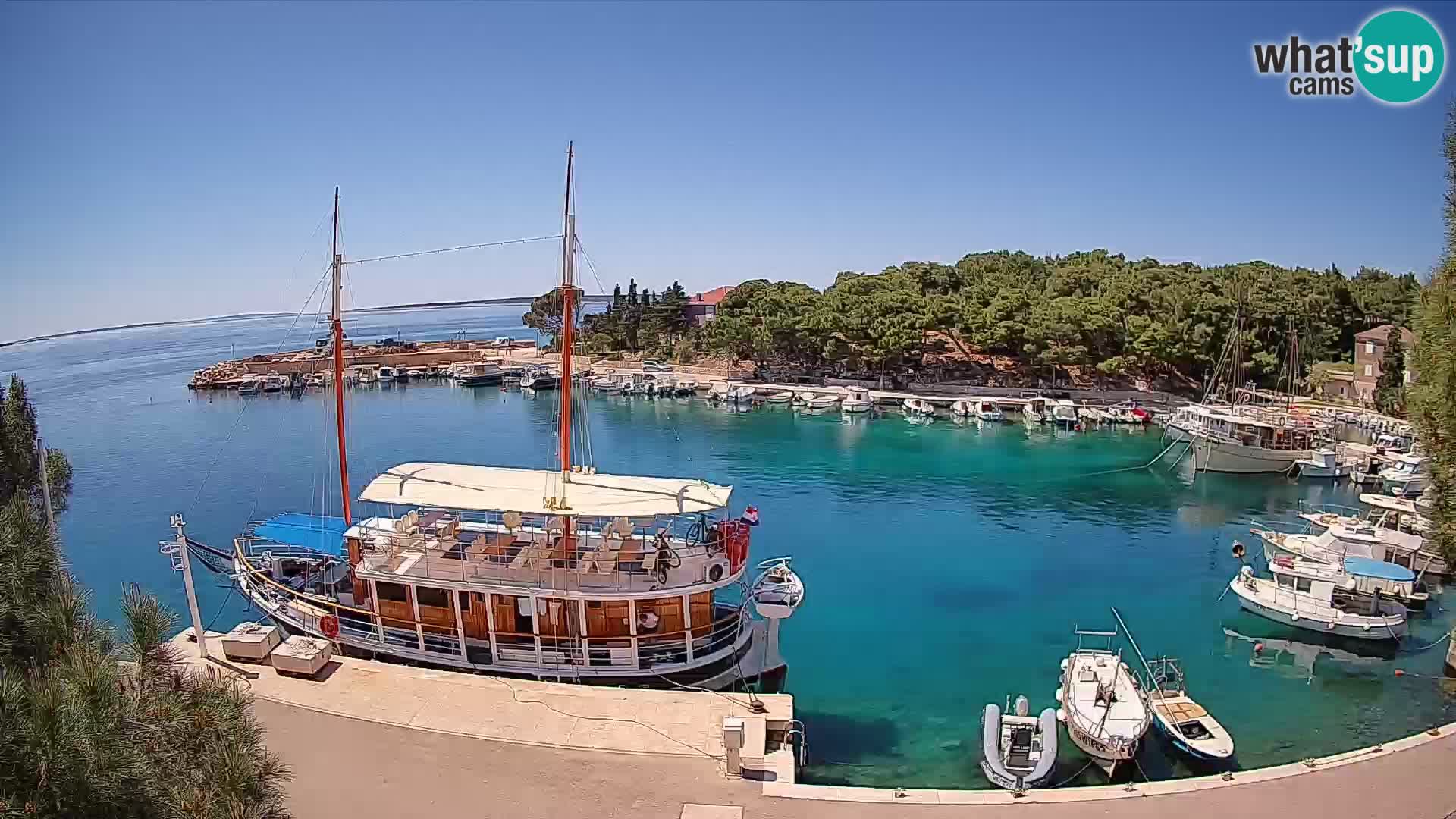 Mandre – marina