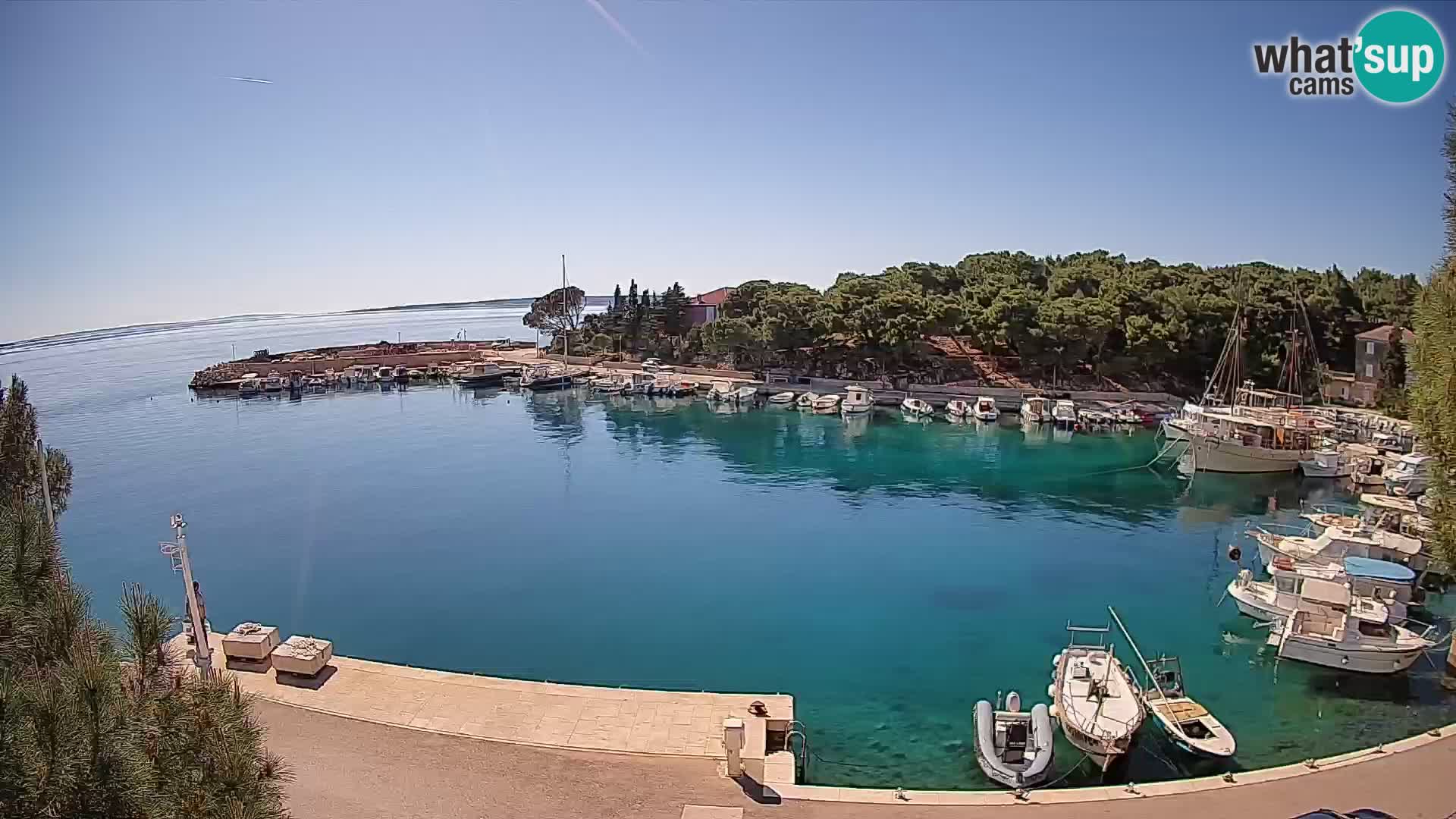 Mandre – marina