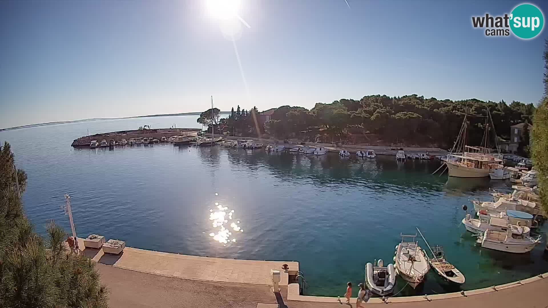 Mandre – marina