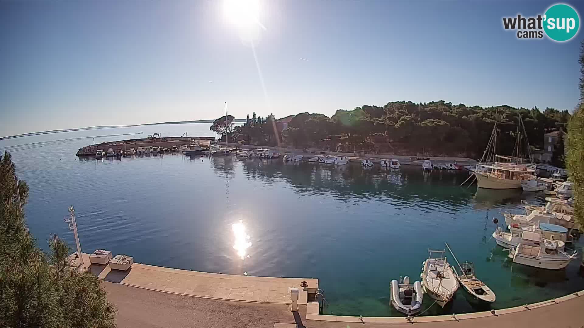 Mandre – marina