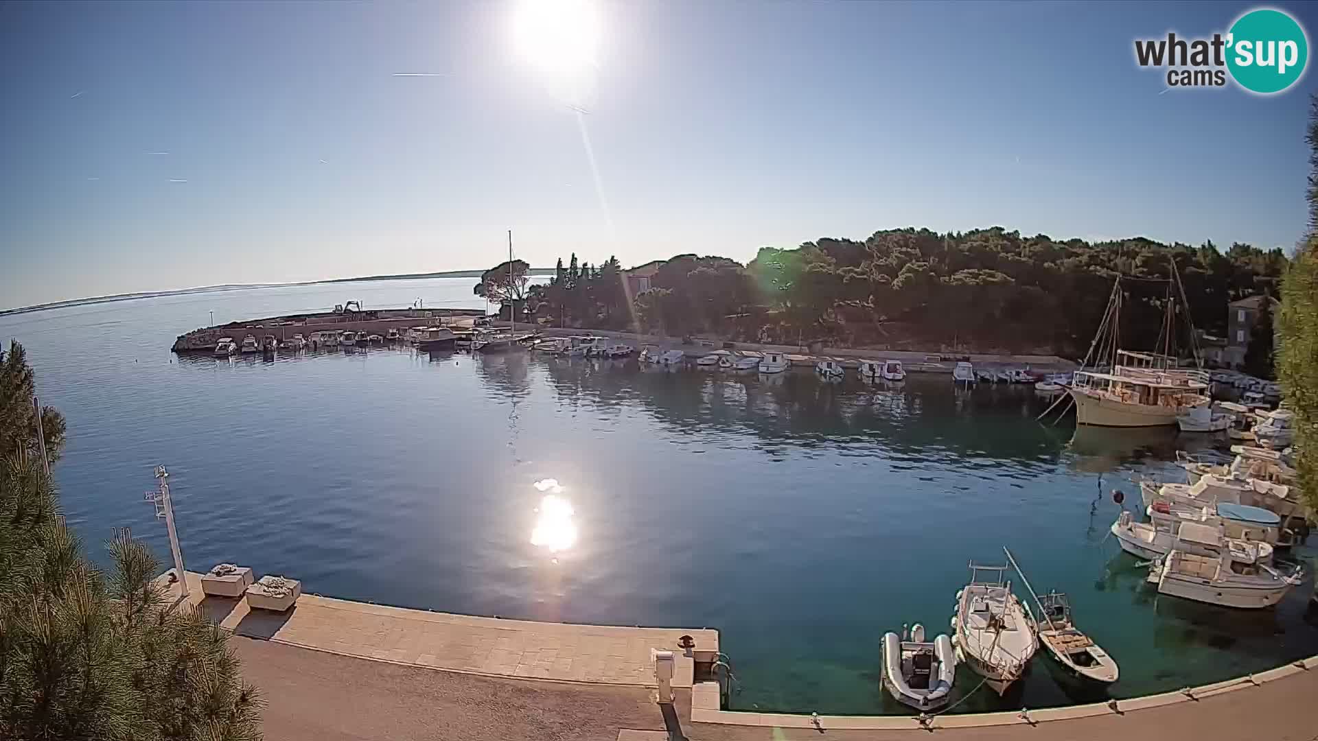 Mandre – marina