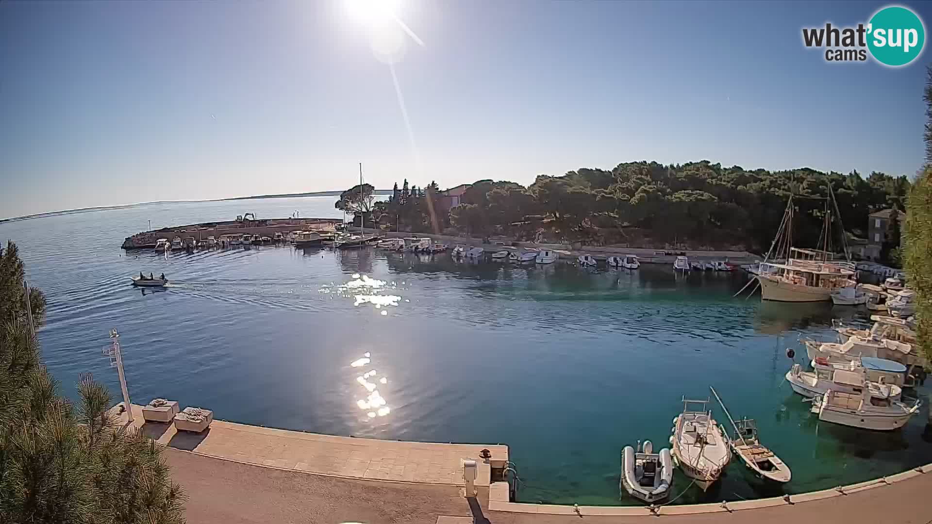 Mandre – marina