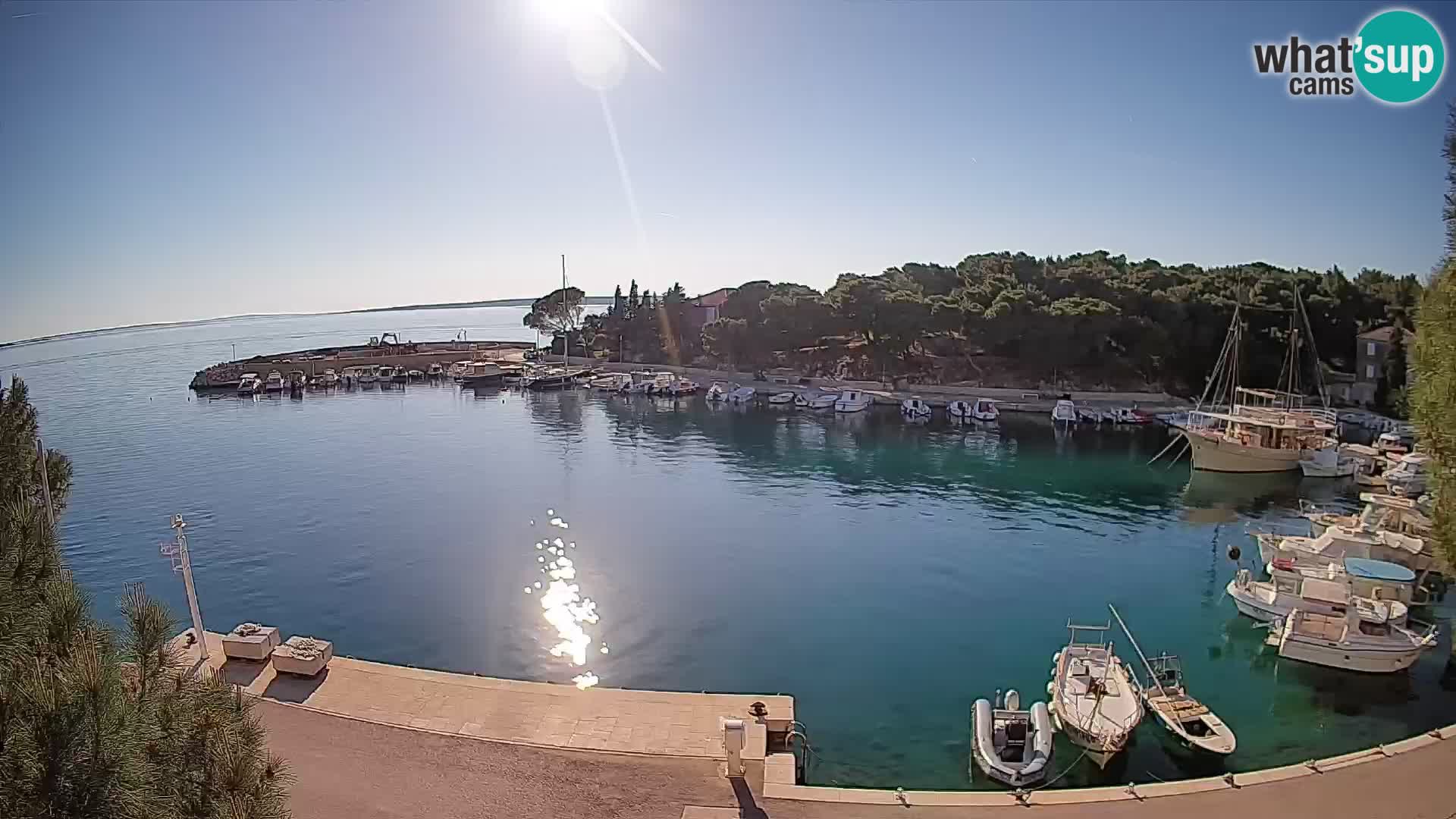 Mandre – marina