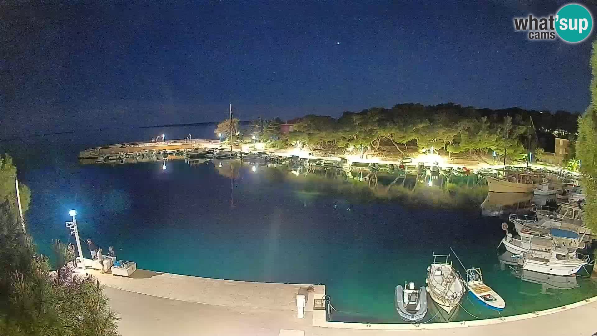 Mandre – marina