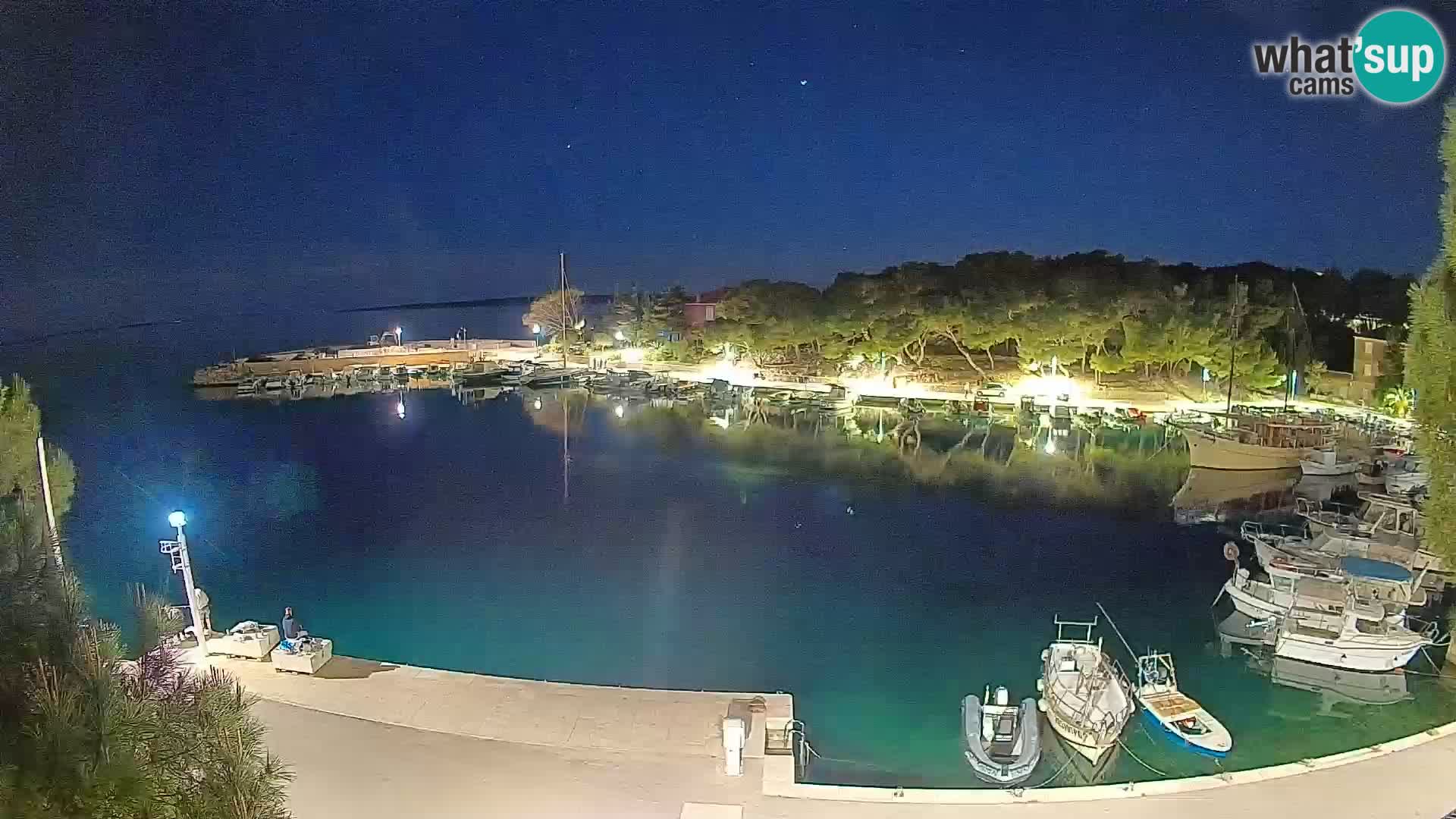 Mandre – marina