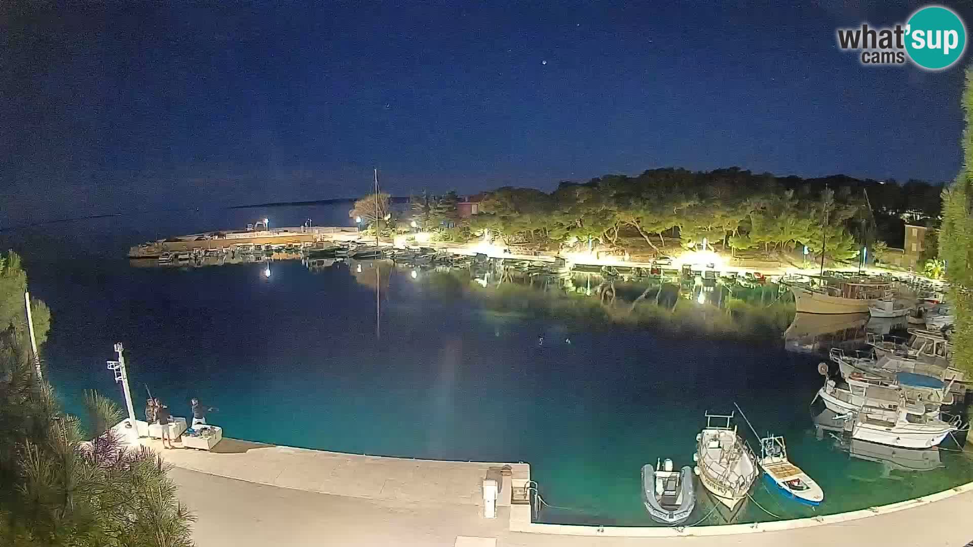 Mandre – marina