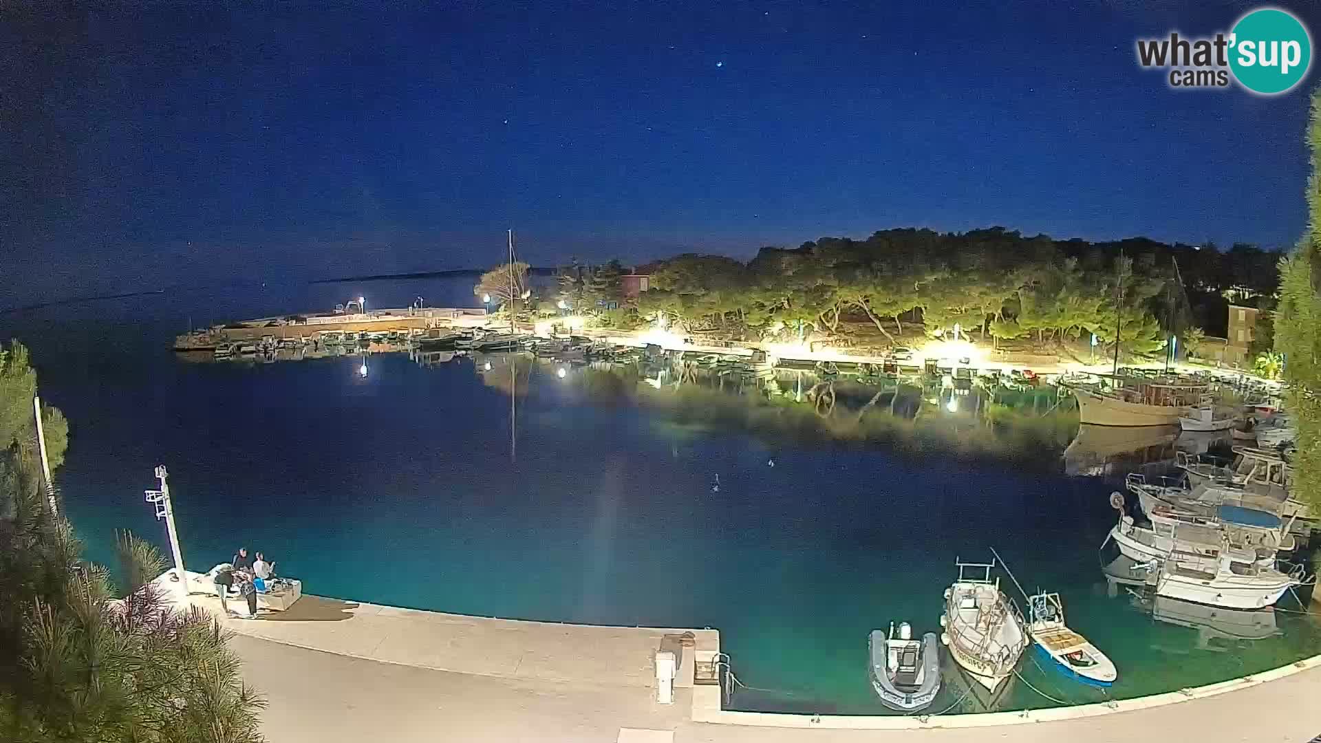 Mandre – marina