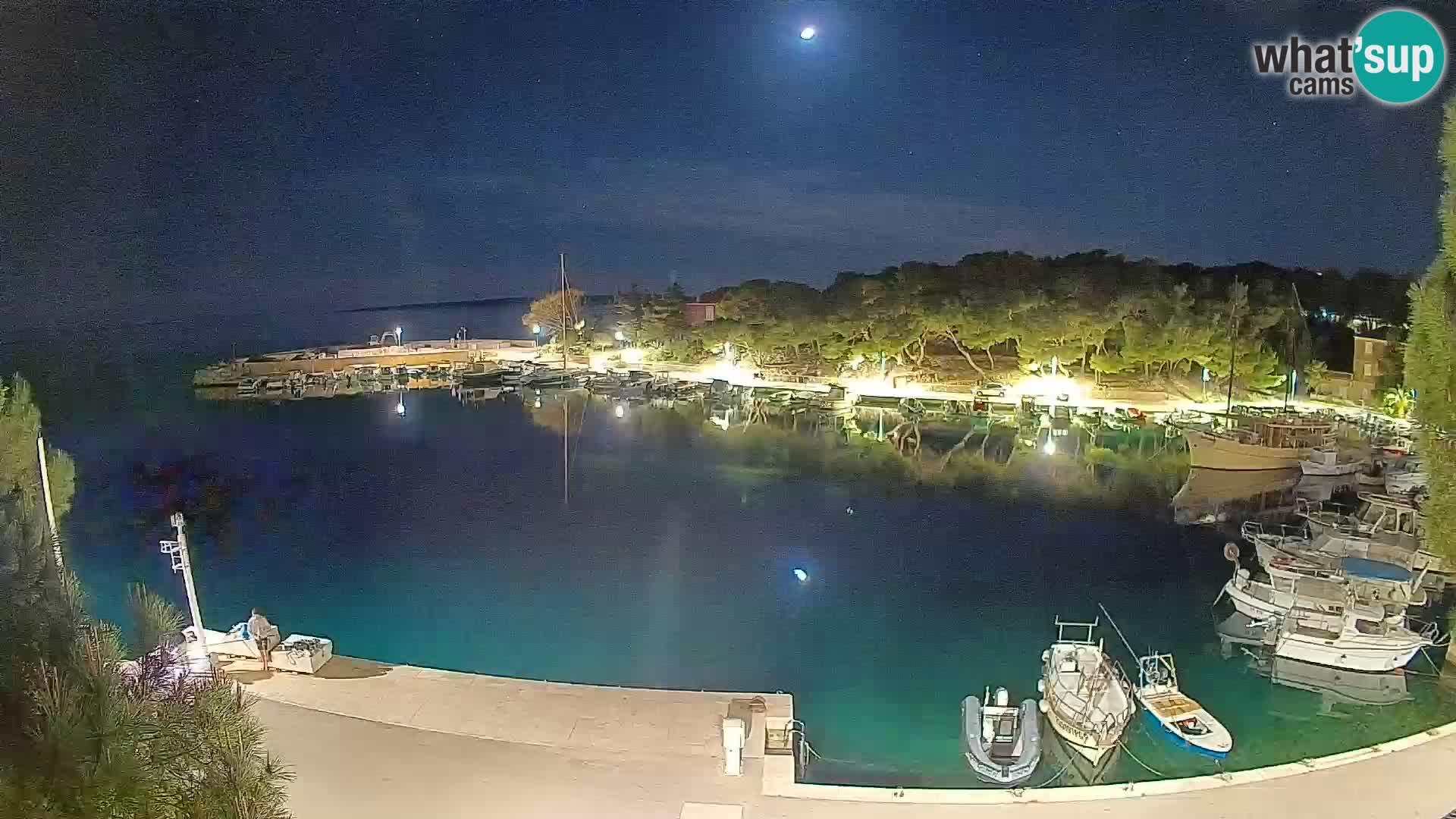 Mandre – marina