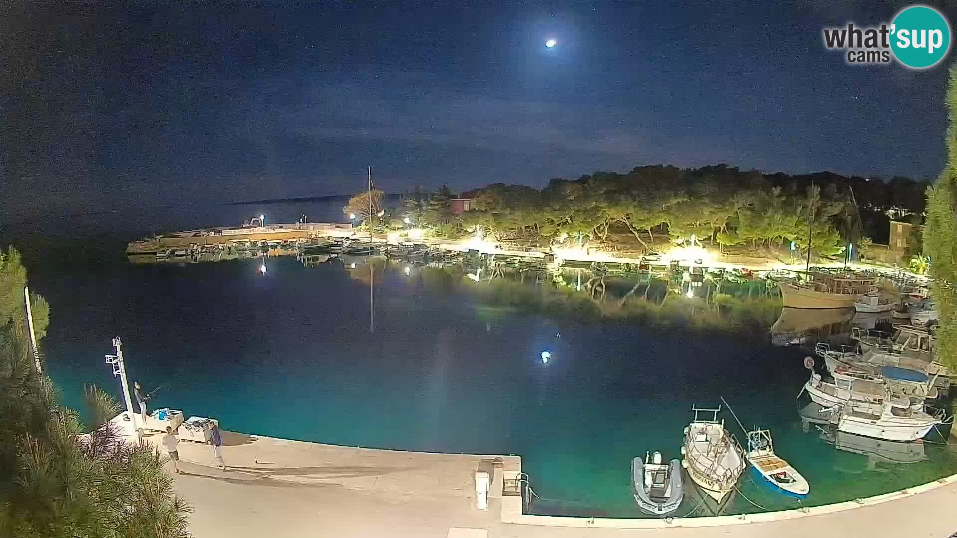 Mandre – marina