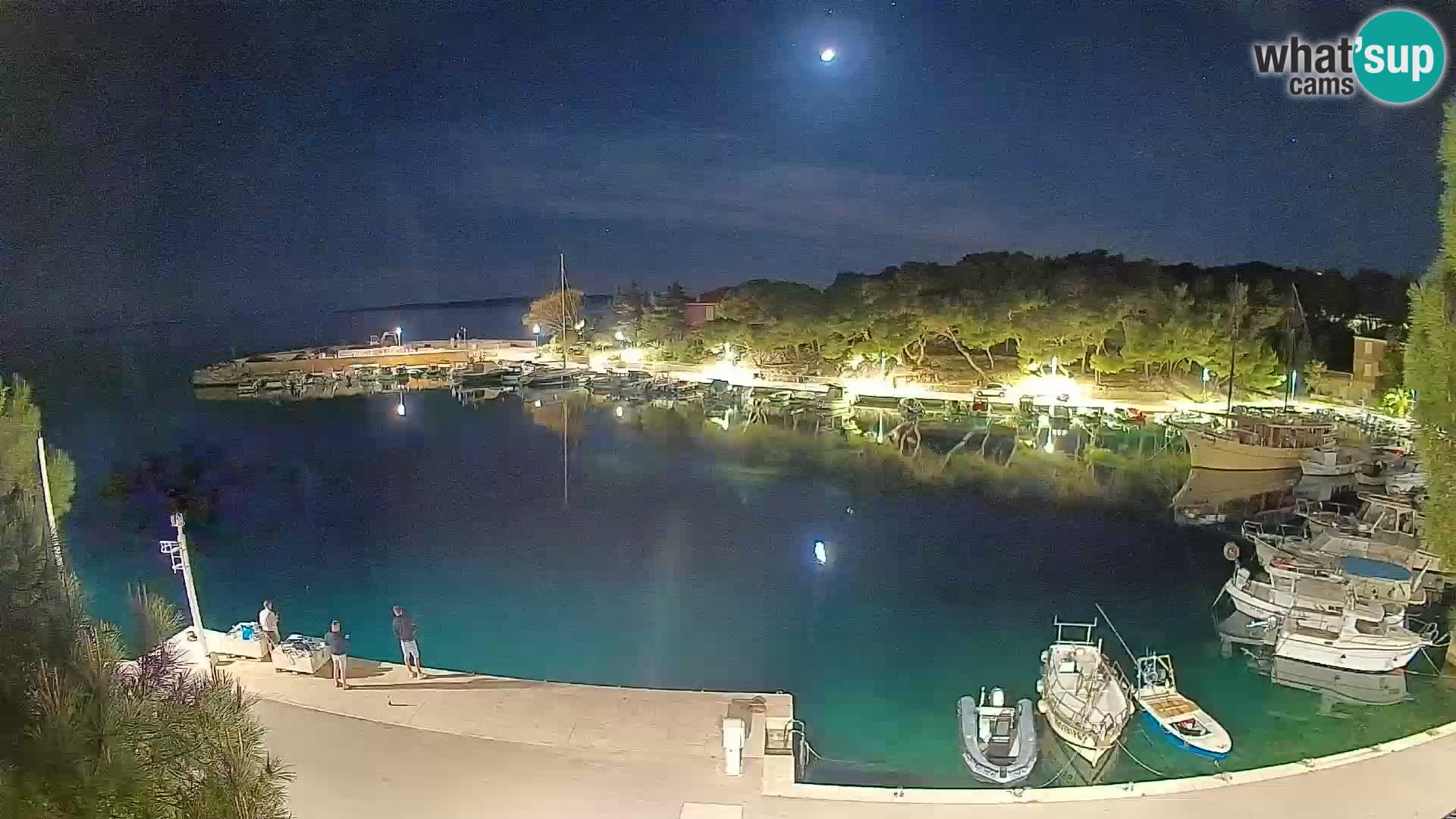 Mandre – marina