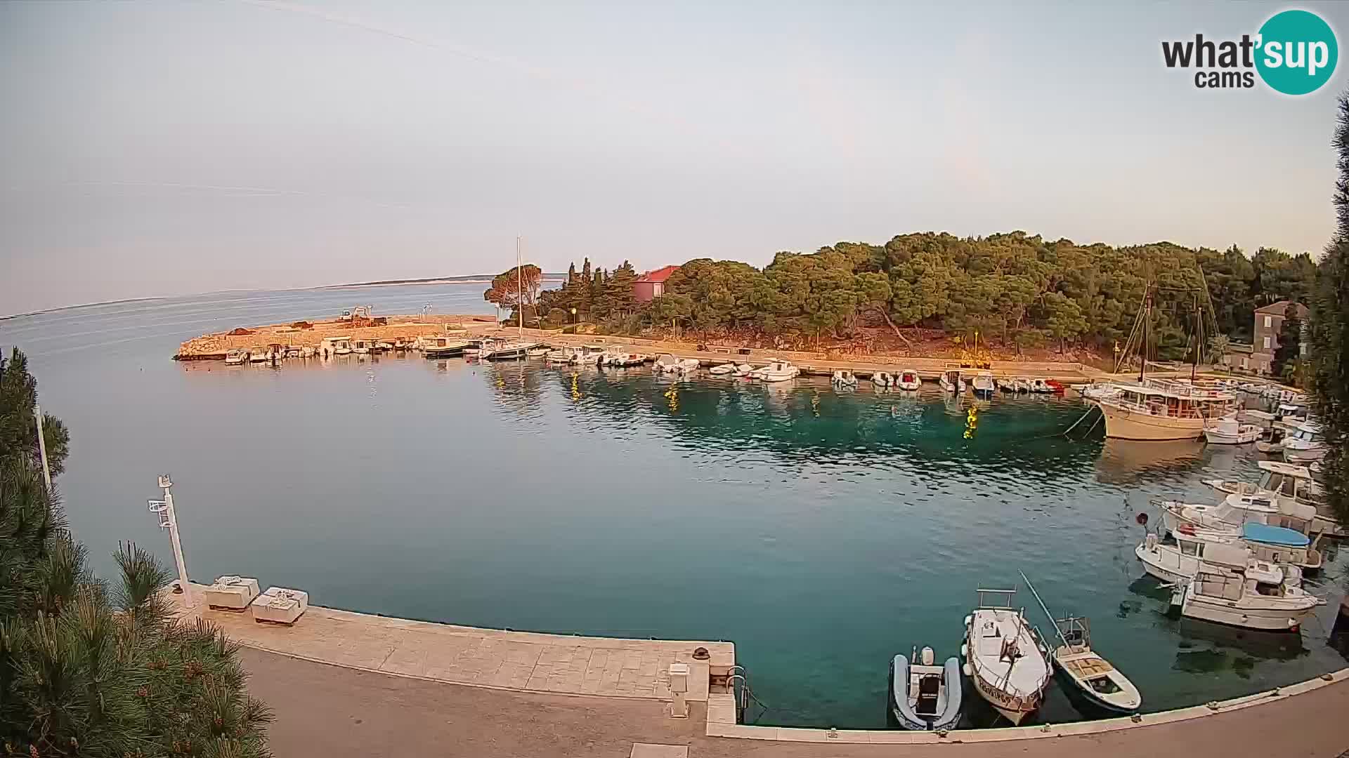 Mandre – marina