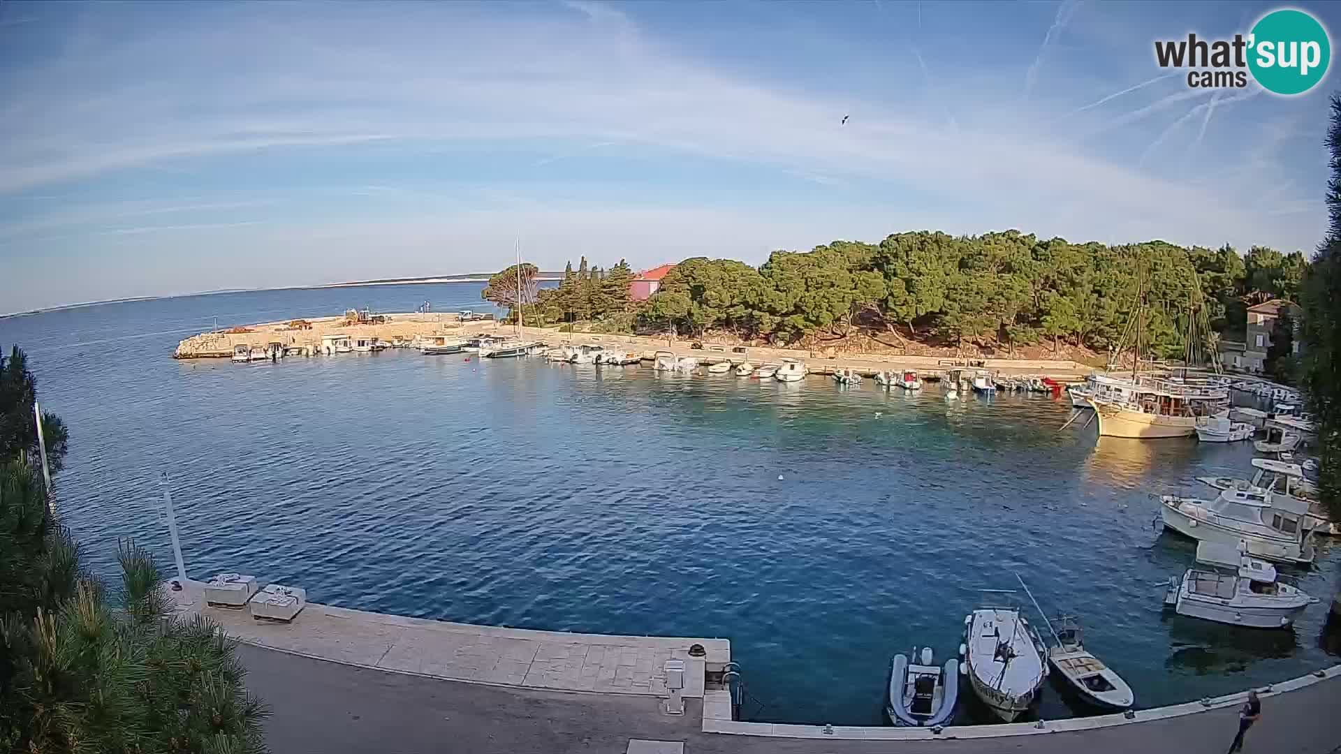 Mandre – marina