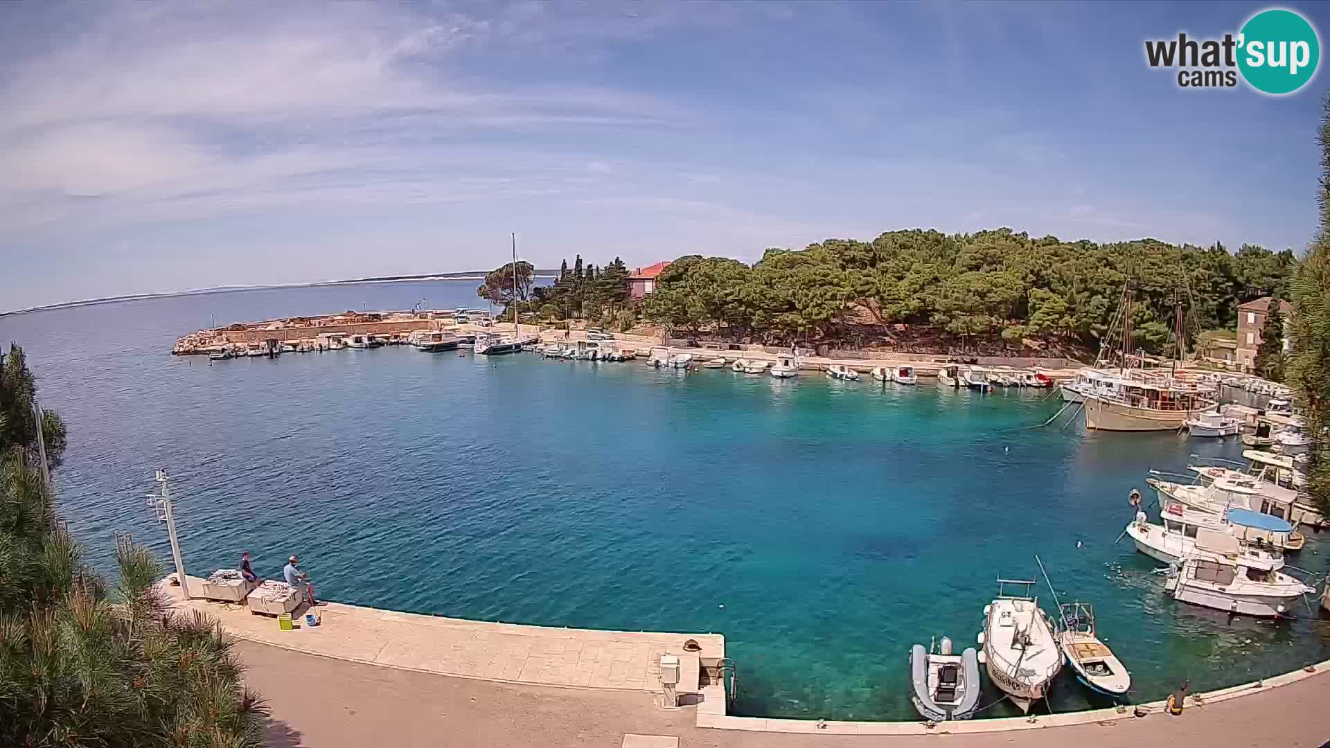 Mandre – marina