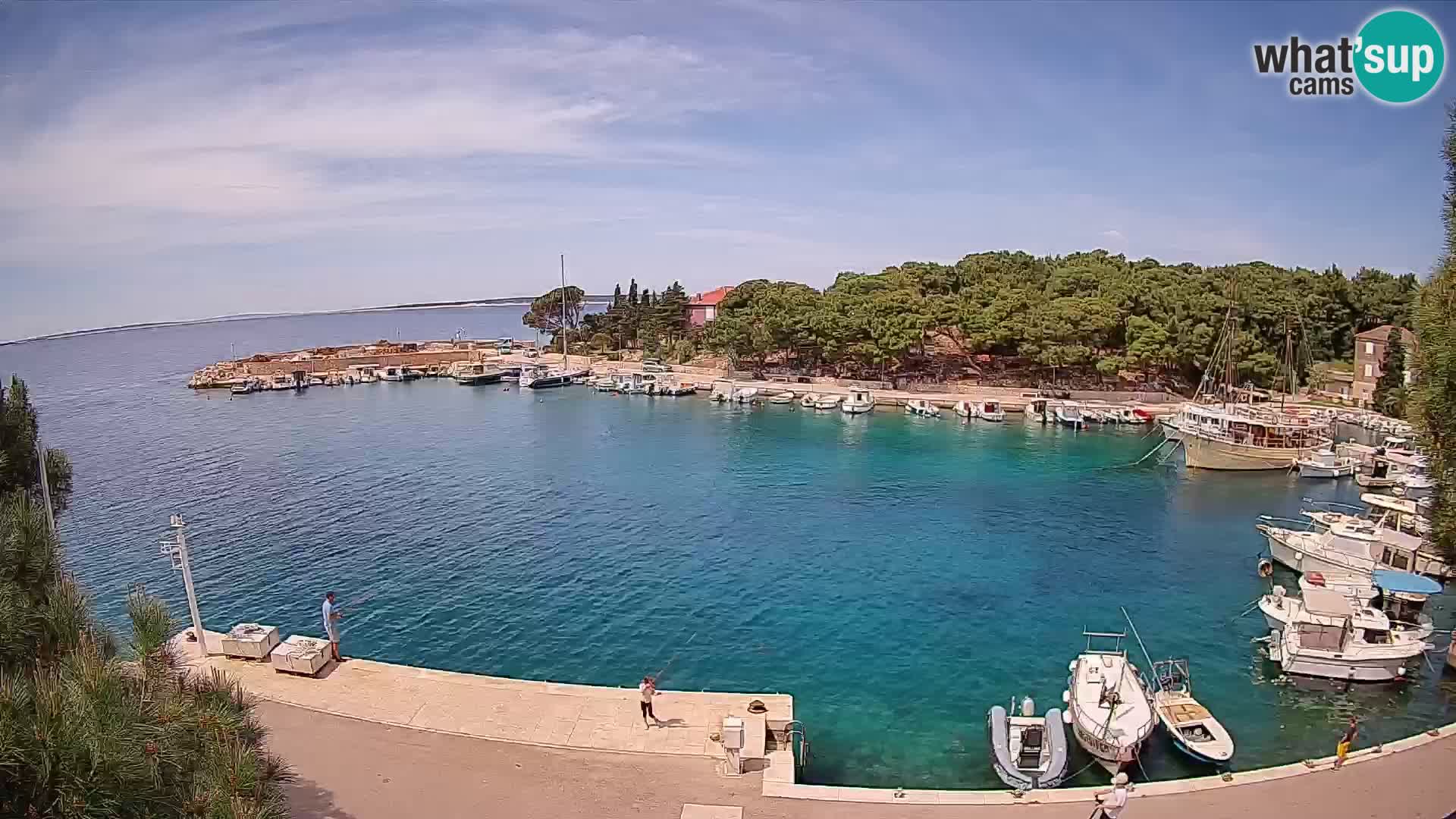 Mandre – marina