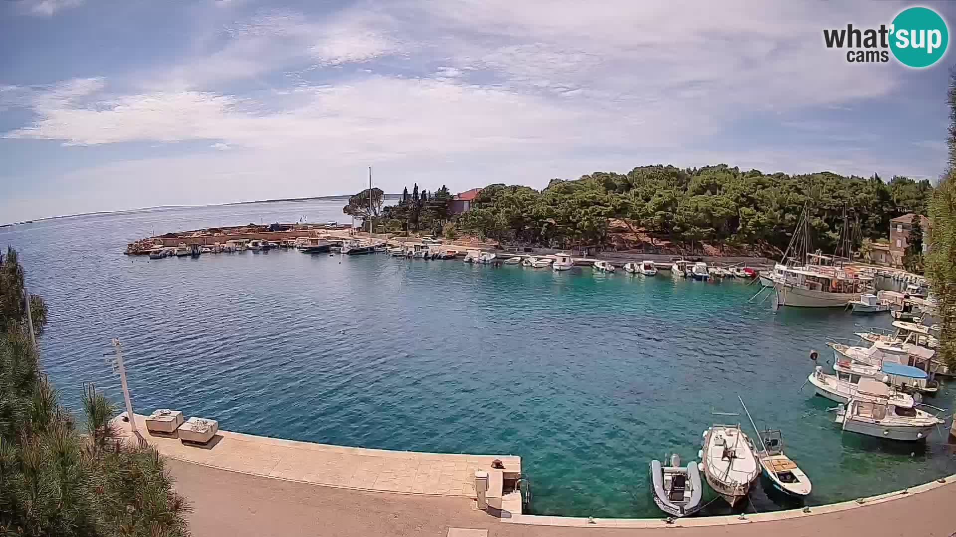 Mandre – marina