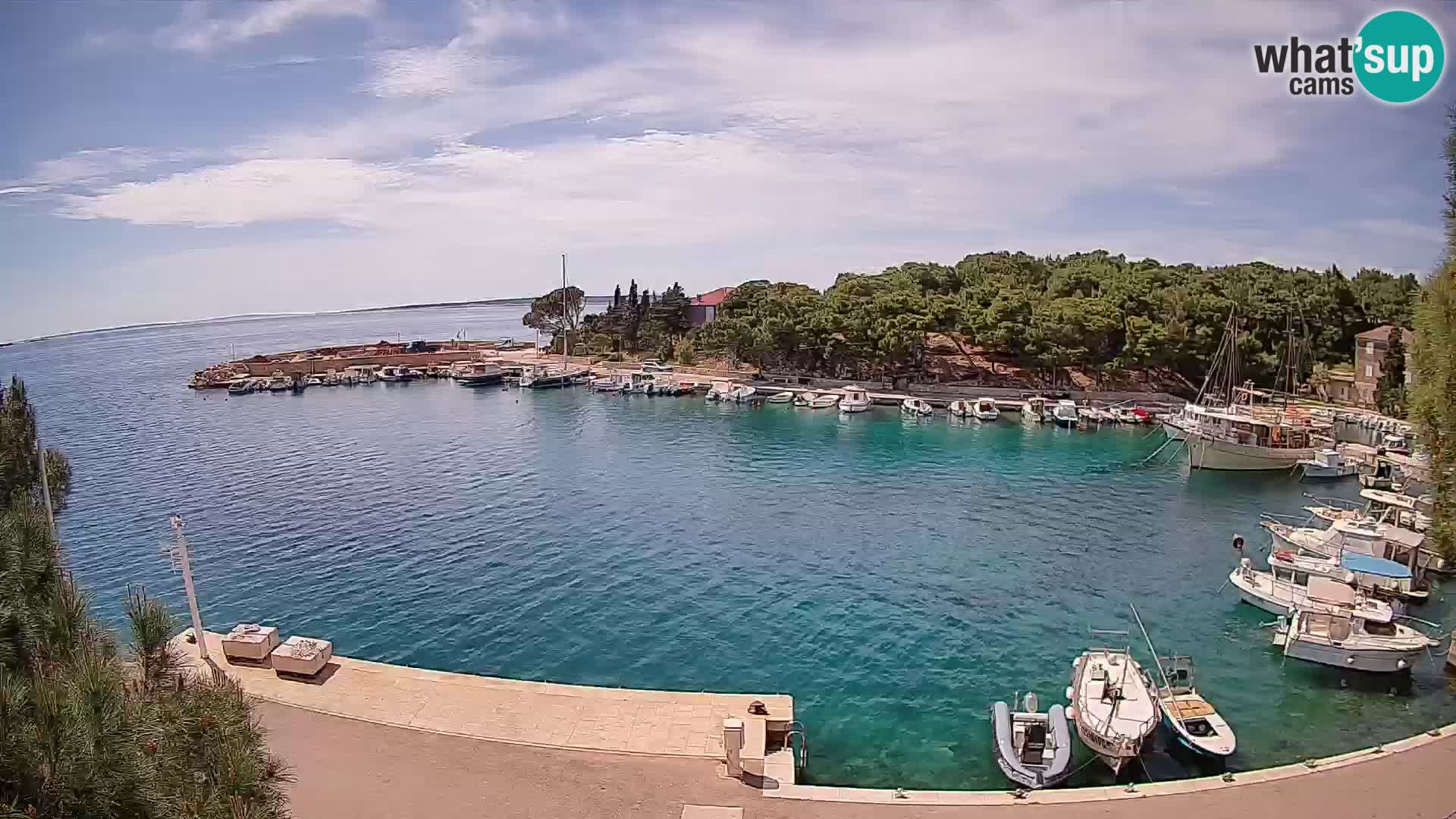 Mandre – marina