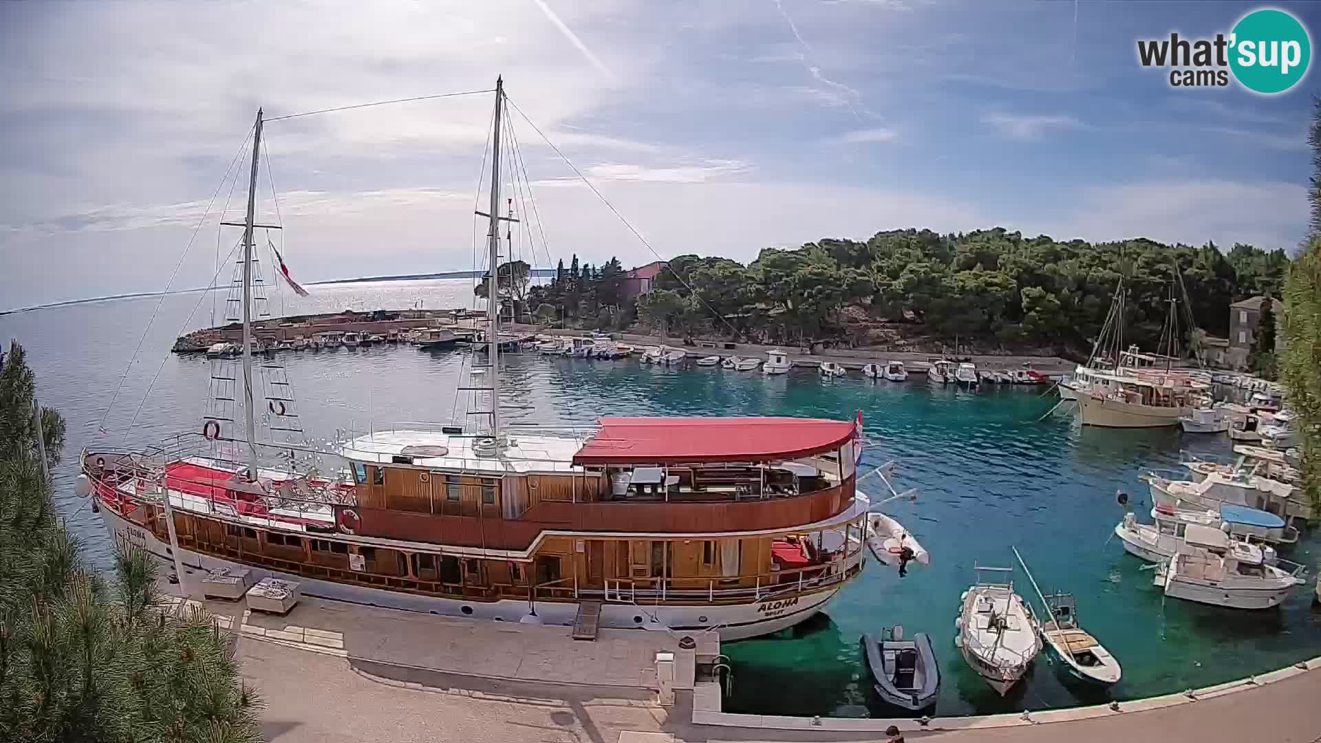Mandre – marina