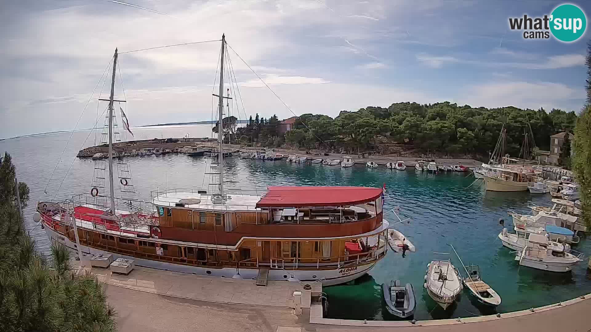 Mandre – marina