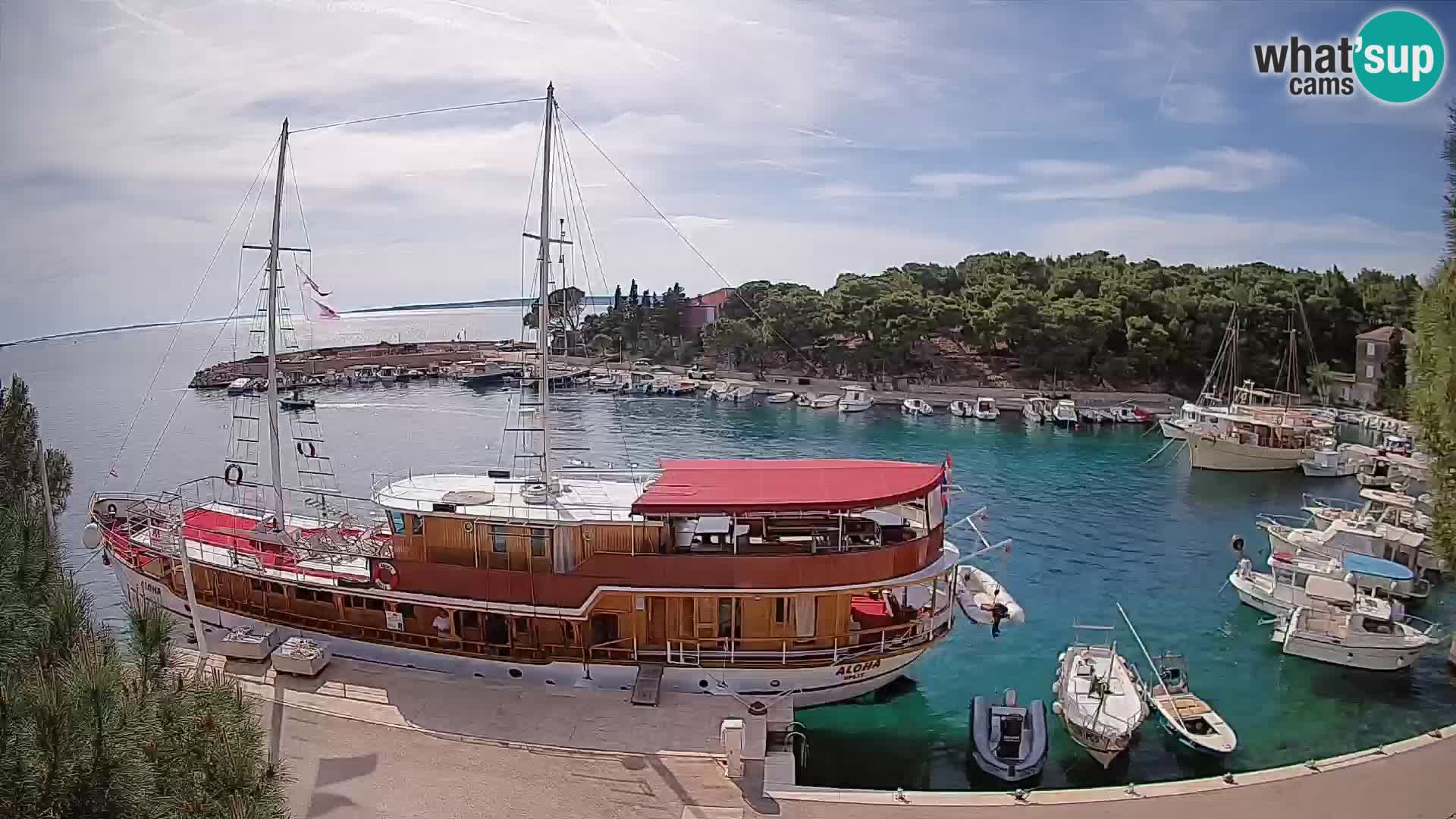 Mandre – marina