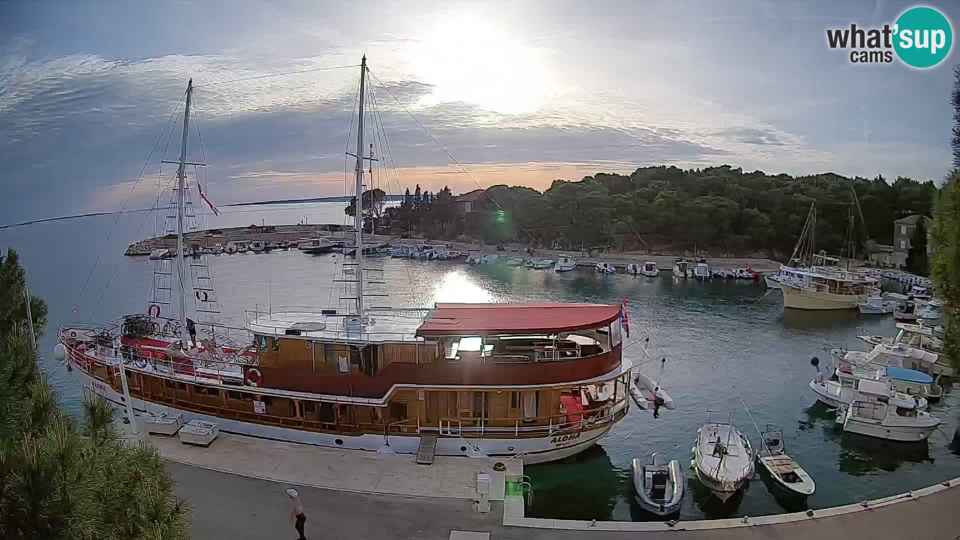 Mandre – marina