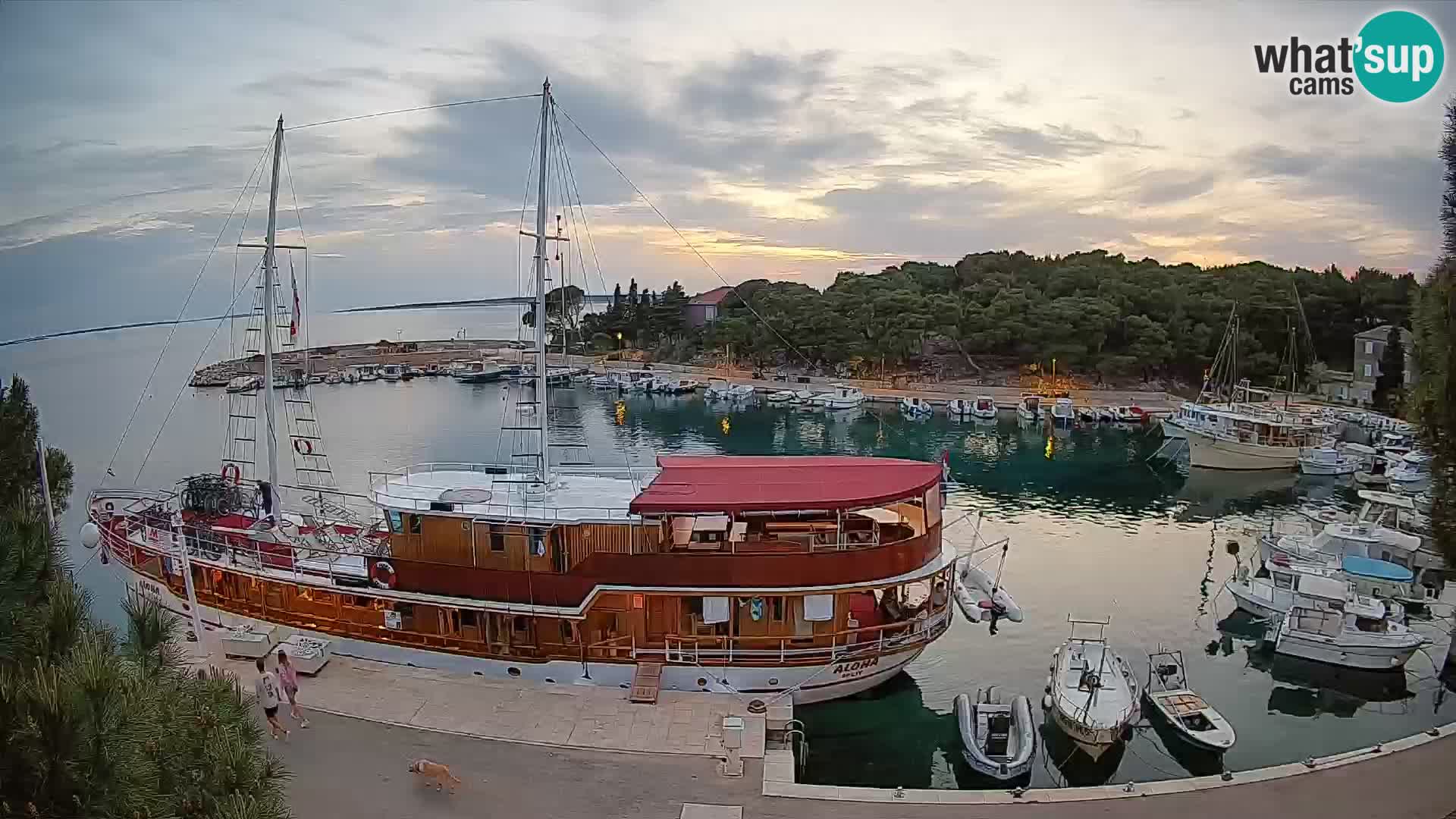 Mandre – marina