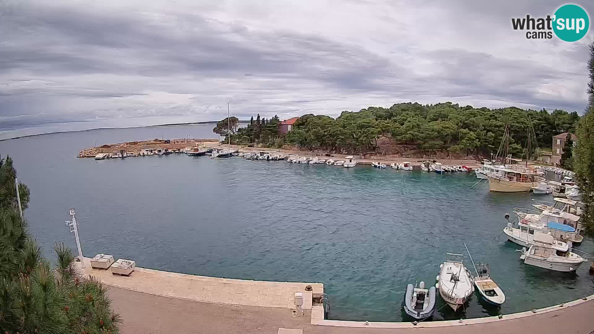 Mandre – marina
