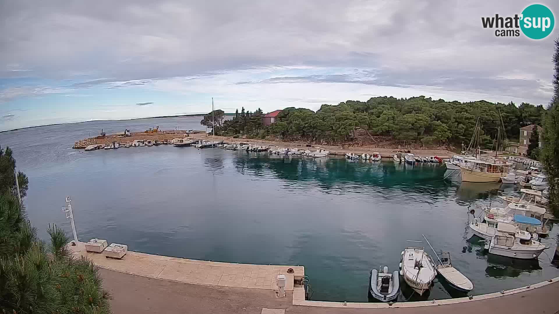 Mandre – marina